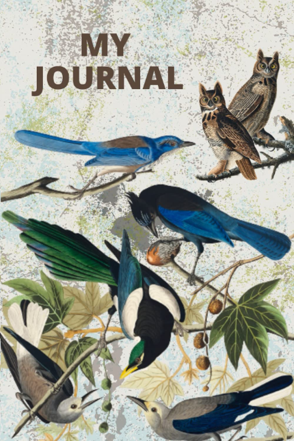 My Journal | Birds of North America | Bird Watching Log Book | Devoted Birders Journal: Notebook To Record Bird Sightings Details | Great gift idea for any bird watcher