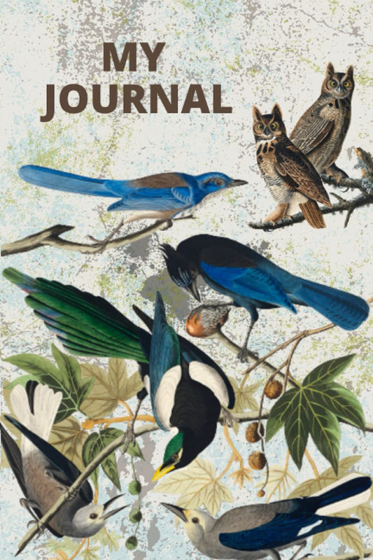 My Journal | Birds of North America | Bird Watching Log Book | Devoted Birders Journal: Notebook To Record Bird Sightings Details | Great gift idea for any bird watcher