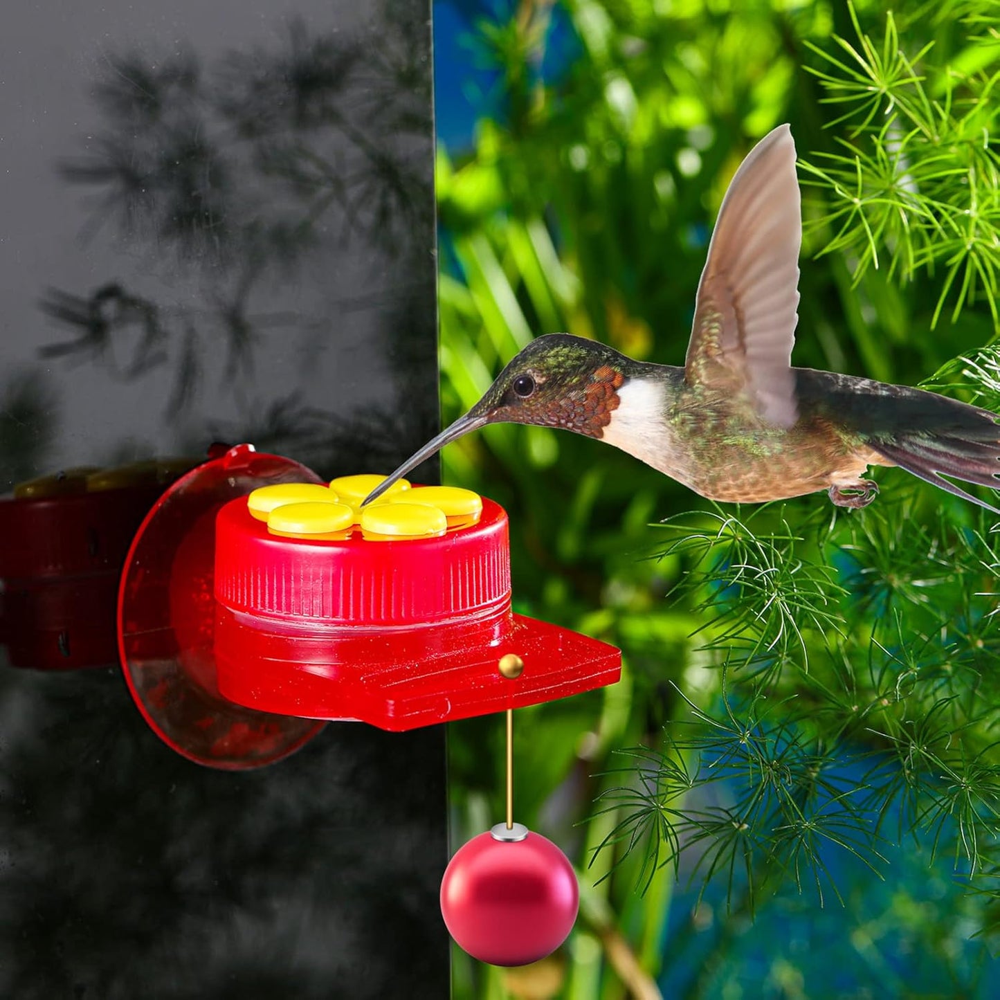Skyley Hummingbird Hand Feeder Set 3 Packs Handheld Feeders Adjustable Wrist Hand Feeders Suction Cup with Perches Hummingbird Ring Feeder with 12 Cleaning Brush for Outdoors