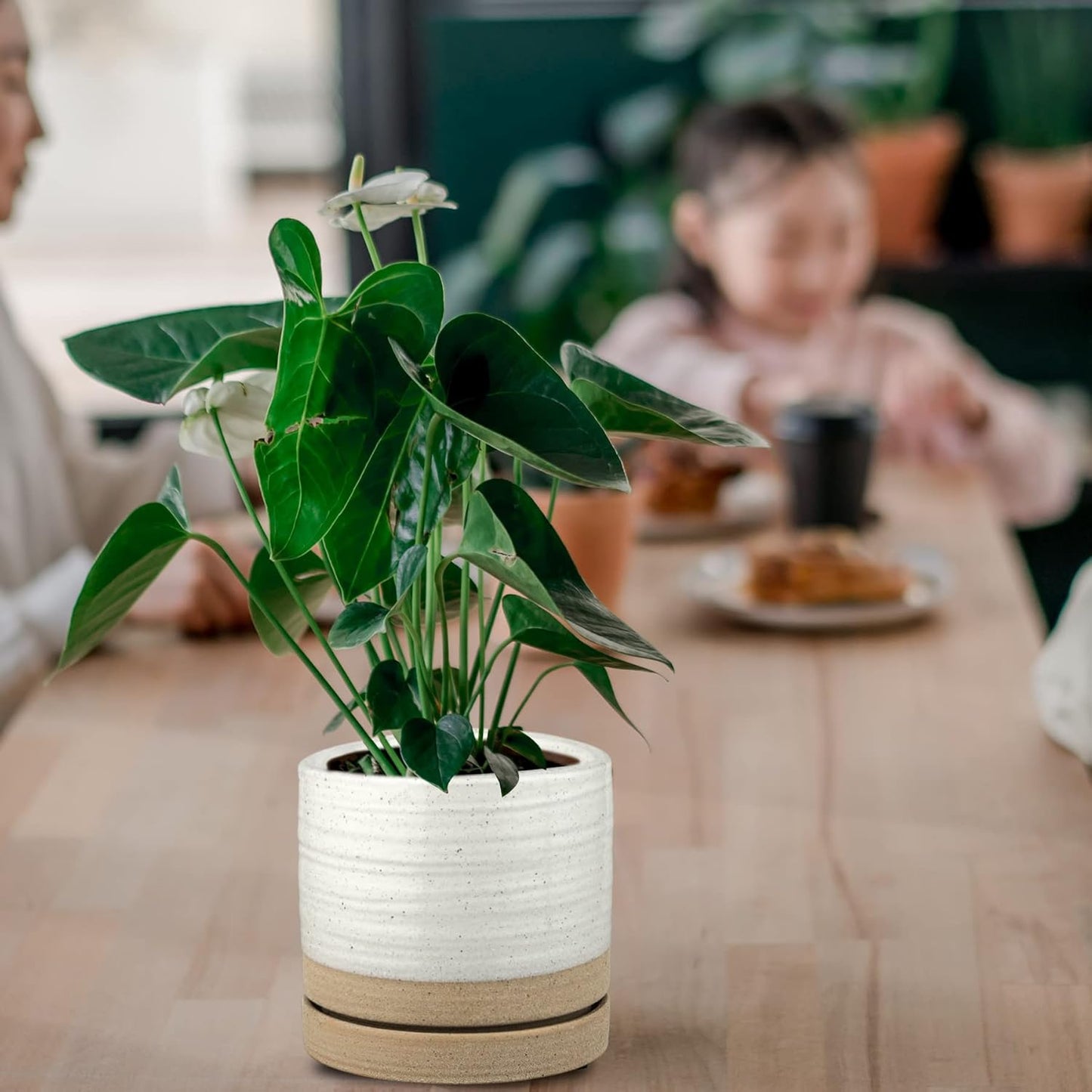 6 Inch Plant Pots, Ceramic Planter Pot with Drainage Hole & Saucer, In