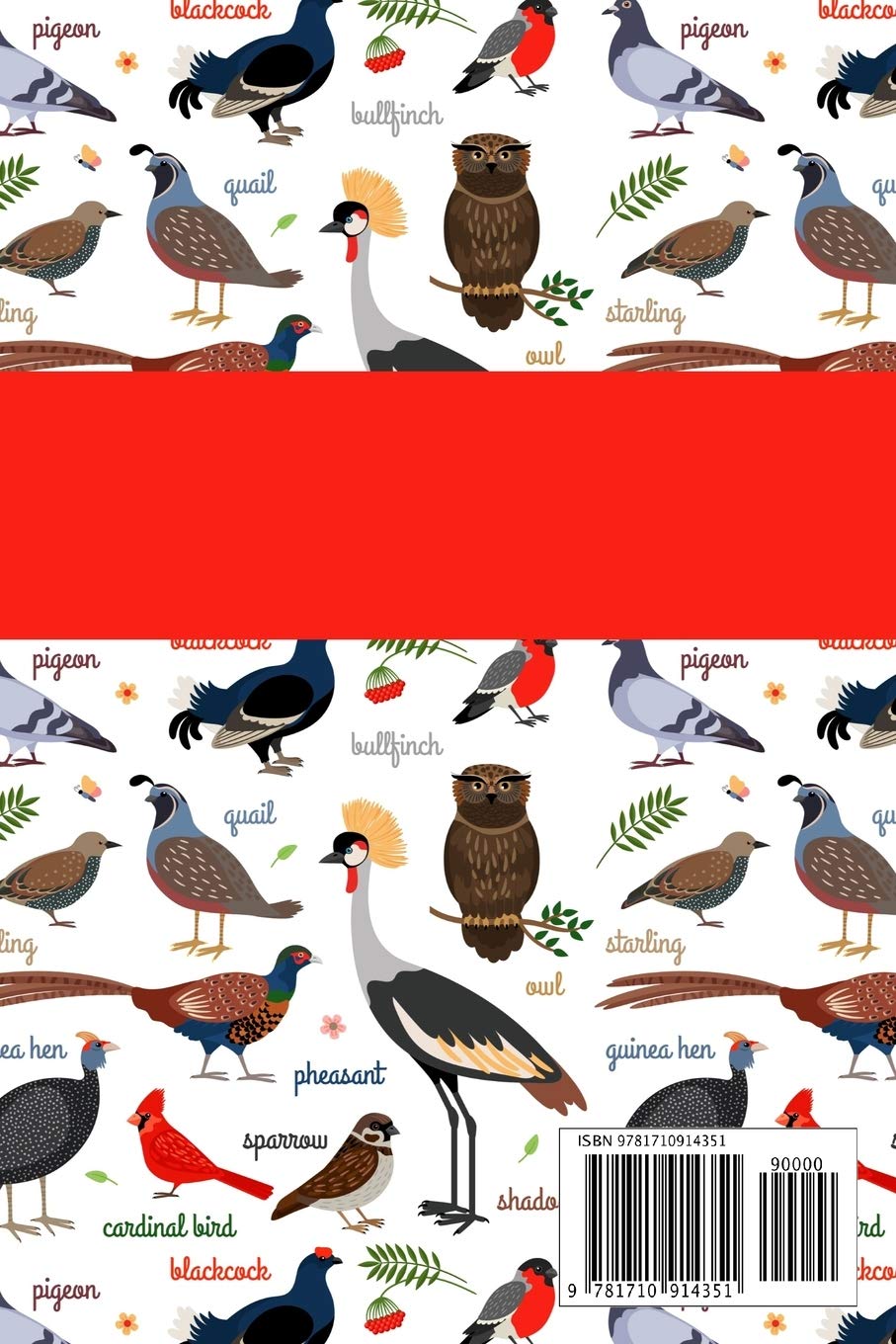 Bird Watching Log Book: Birding Journal to record Bird Sightings & List Species | 125 pages (6" x 9") | Gift for Birdwatchers