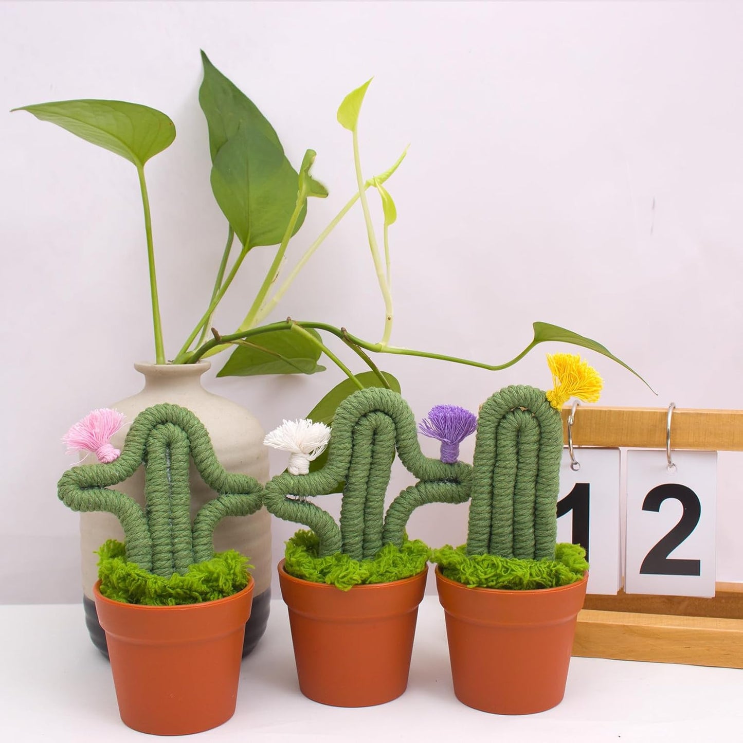 3pcs Handmade Macrame Artificial Cactus, Fake Cactus Potted Plants in Planter Pot, Cute Plant for Friends, Lovers, Classmates and Home Decor Indoor Office Desk