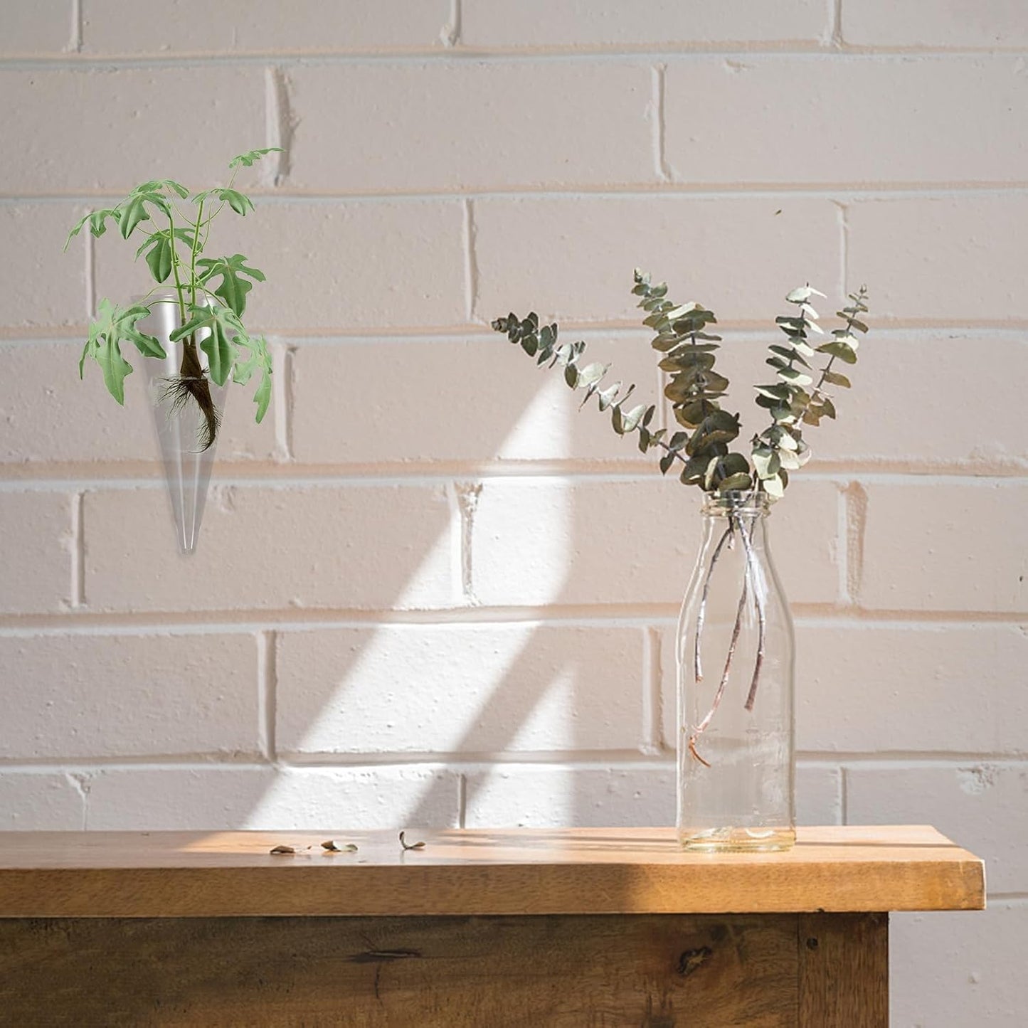 3Pcs Wall Hanging Hydroponic Glass Vase Cone Shape Plant Holder for Home Decoration Space-Saving Planter for Indoor Flowers Modern European Style Wall Adornment