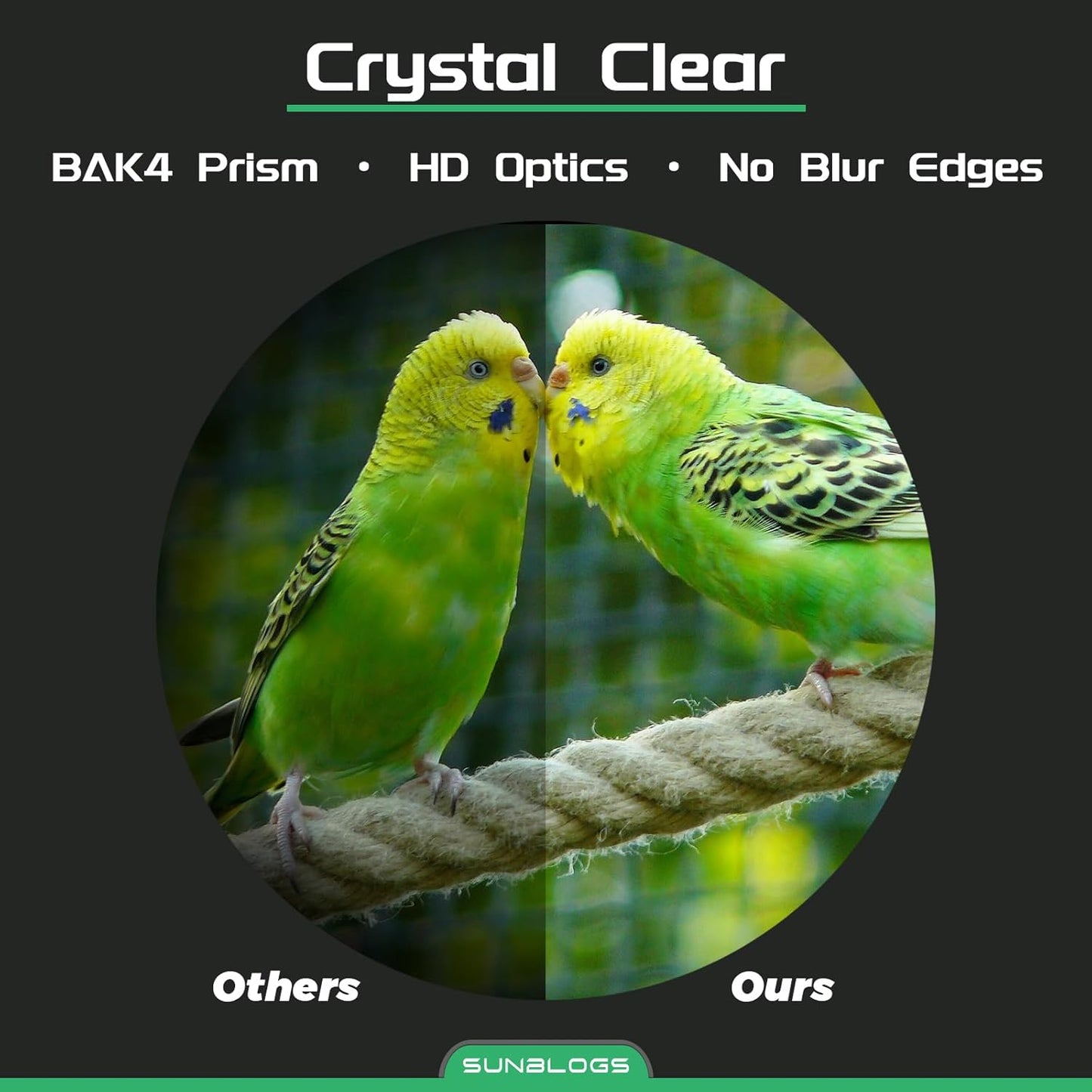 Binoculars for Adults High Powered, 12x42 HD Super Bright BAK4 Prism Waterproof Binoculars with Low Light Vision for Bird Watching Hiking Hunting Outdoor Travel Road Trip Stargazing Cruise (Green)