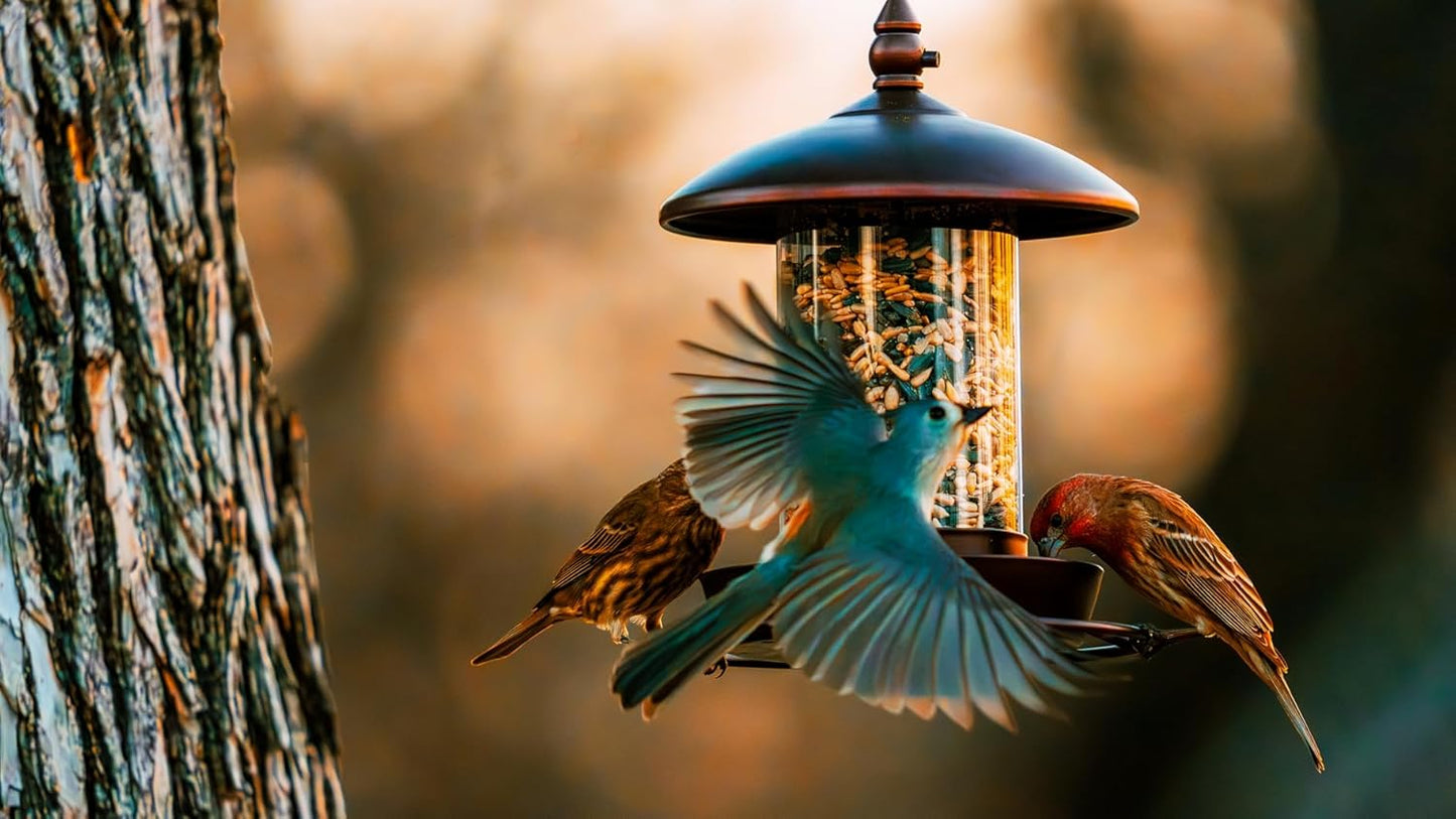 Metal Roof Bird Feeder - Chew Proof for Outdoor Hanging Wild Bird Seed