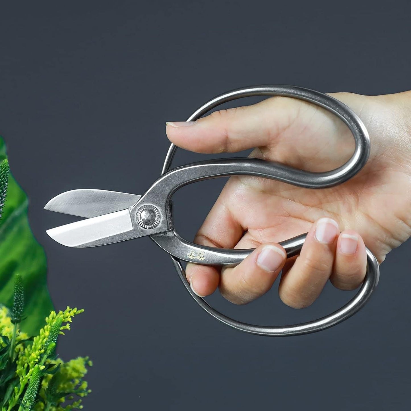 Wazakura Made in Japan Yasugi Stainless Steel Koryu Scissors 6.5" (165