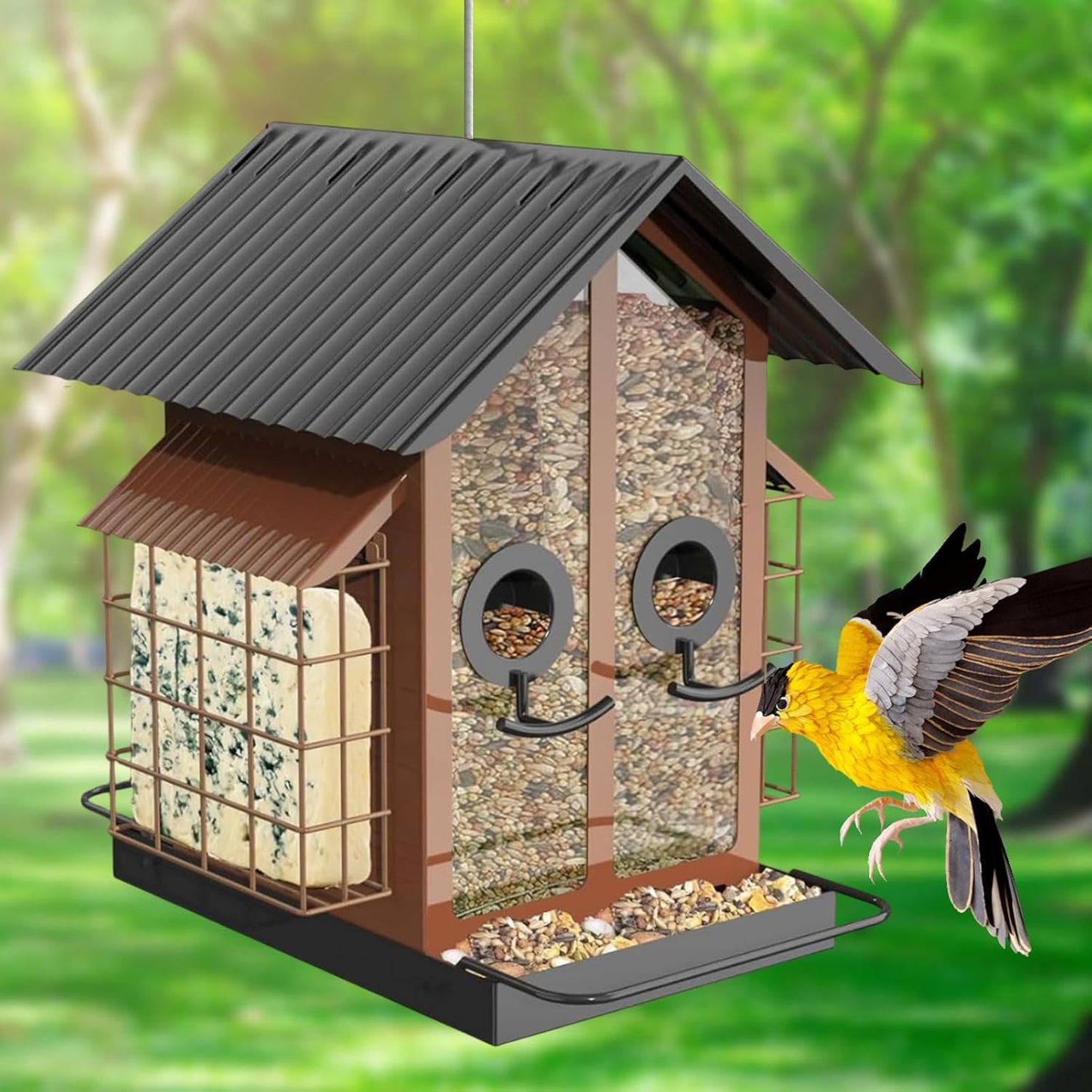 Bird Feeders for Outdoors, Metal Squirrel Proof Birding Supplies, Medium Outdoor Bird Feeder with Protective Cage, Feeding with Compact Design, Sturdy Weather-Resistant Material