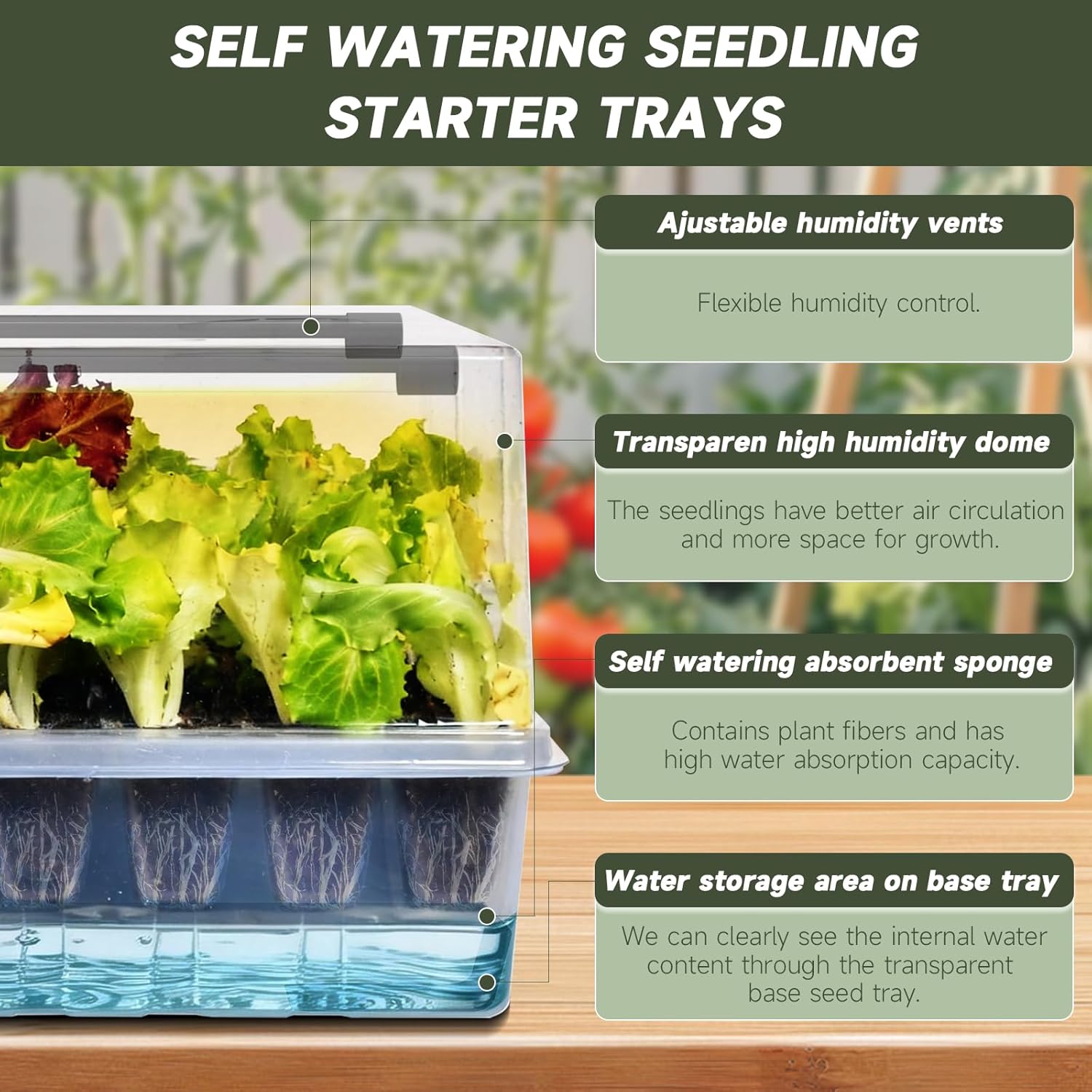 Self-Watering Seed Starter Tray with Grow Lights, 60 Cells Seed Starte