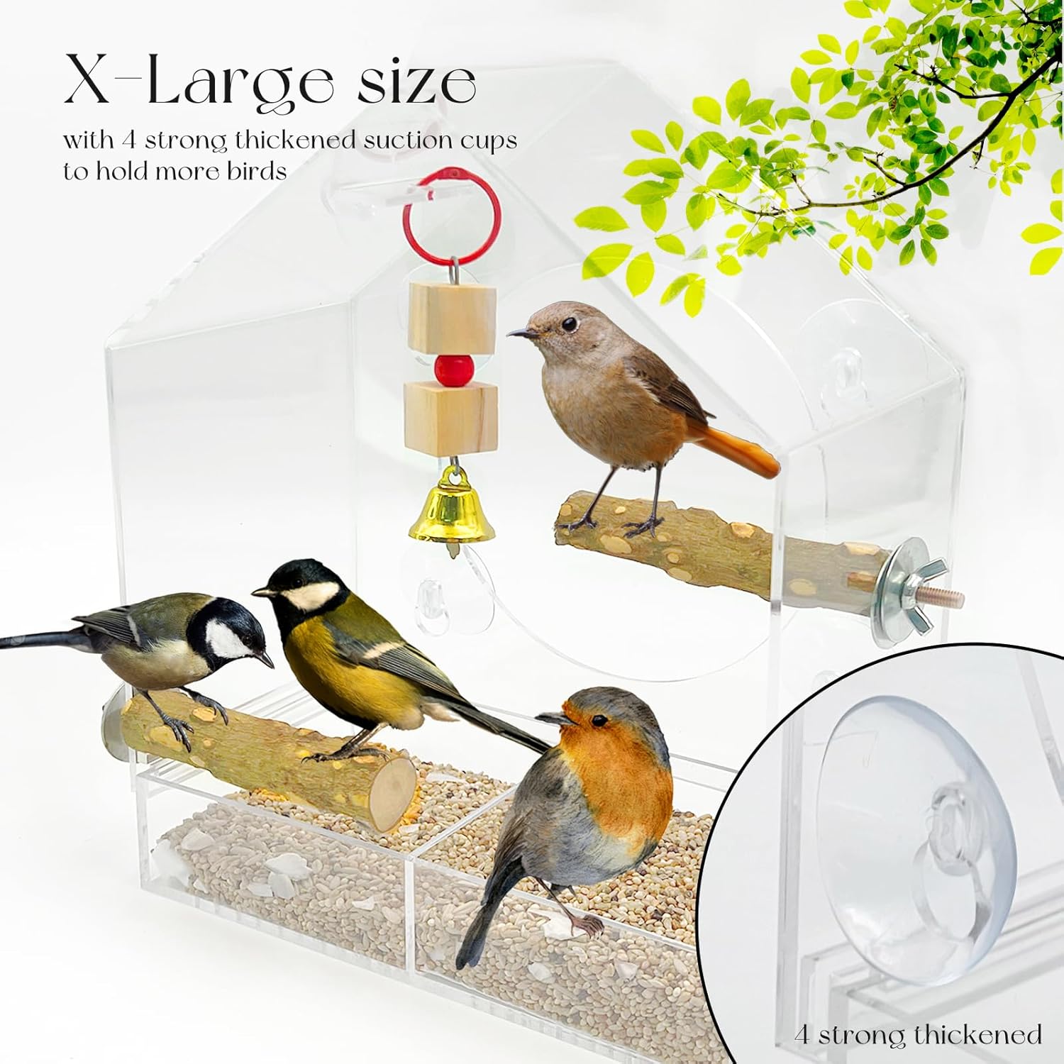 SNAIL GARDEN 9" Large Window Bird Feeder with 1pcs Nibbling Wood Strin