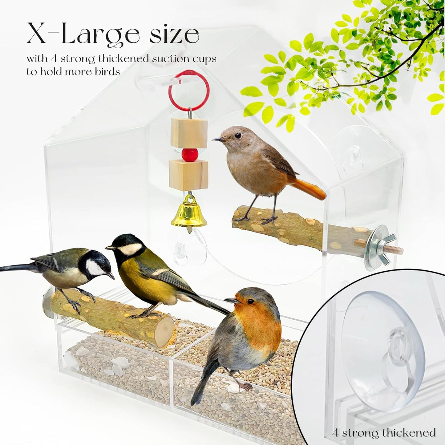 SNAIL GARDEN 9" Large Window Bird Feeder with 1pcs Nibbling Wood Strings,2pcs Pepperwood Standing Stakes,4PCS Suction Cups,Acrylic Bird Feeder on Window with Removable Seed Tray(9×8.6×3.9in)
