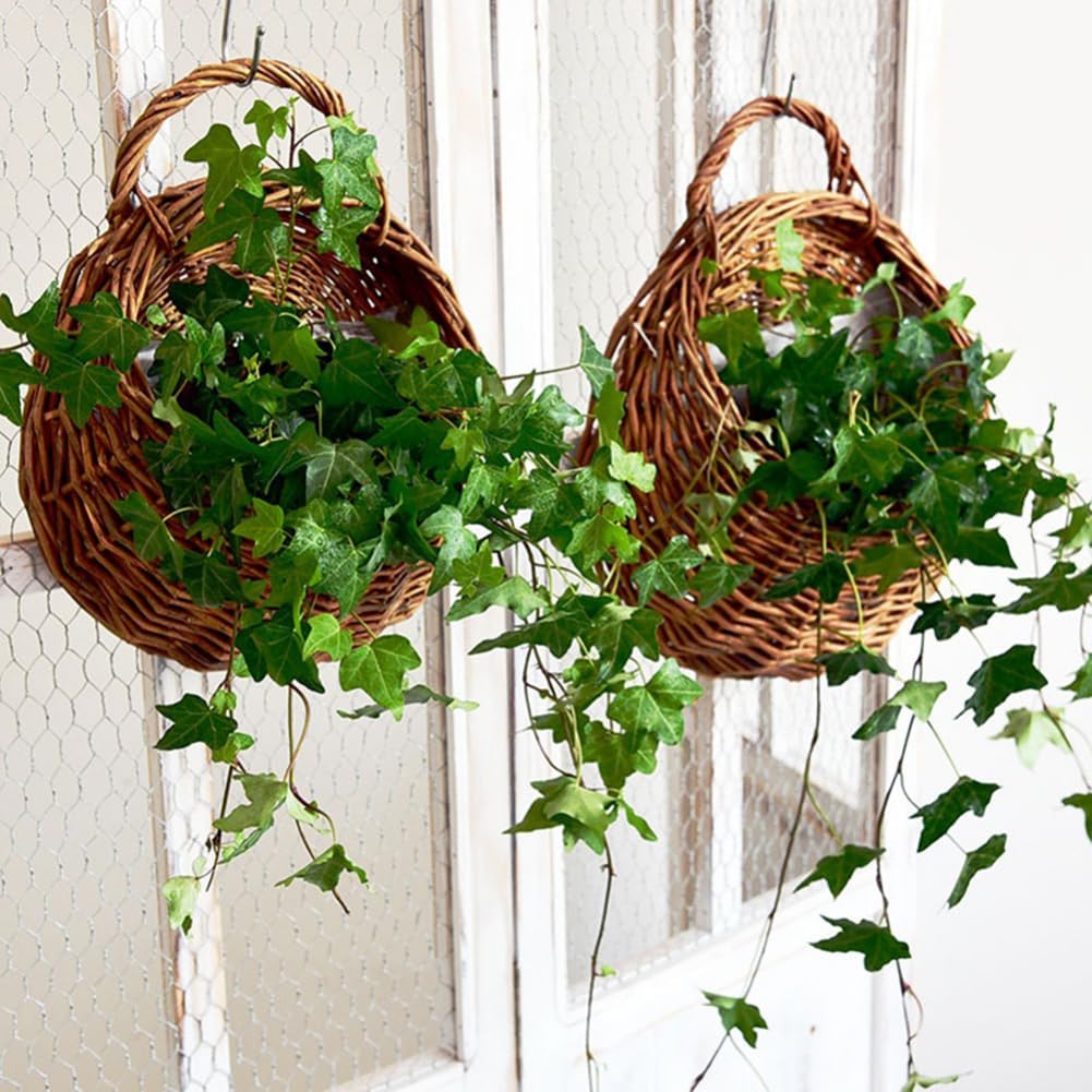 Rattan Planter, Wall Hanging Planter, Rattam Basket, Garden Pots, Wall Mount Vase for Vine Plants, Brown Color, 32x38cm