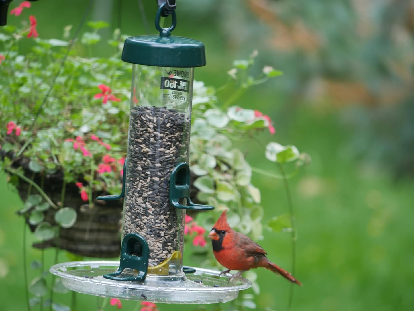 Brome Tube 150 Wild Bird Feeder, Metal, 4 Seed Ports, 2.6 lb Capacity, Extra-Wide Perches, Easy to Fill & Clean, Pole-Mountable, Seed Tray Available