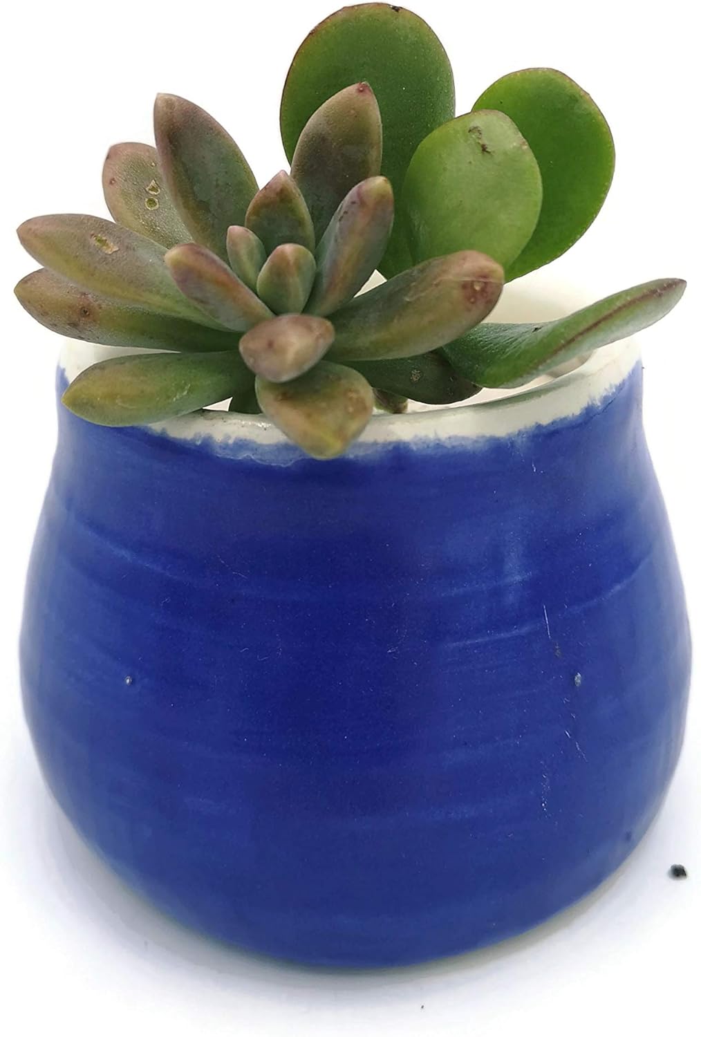 Mini Succulent Planter Pot, Royal Blue Ceramic Decorative Vase for Cactus, Office Desk Accessories for Men