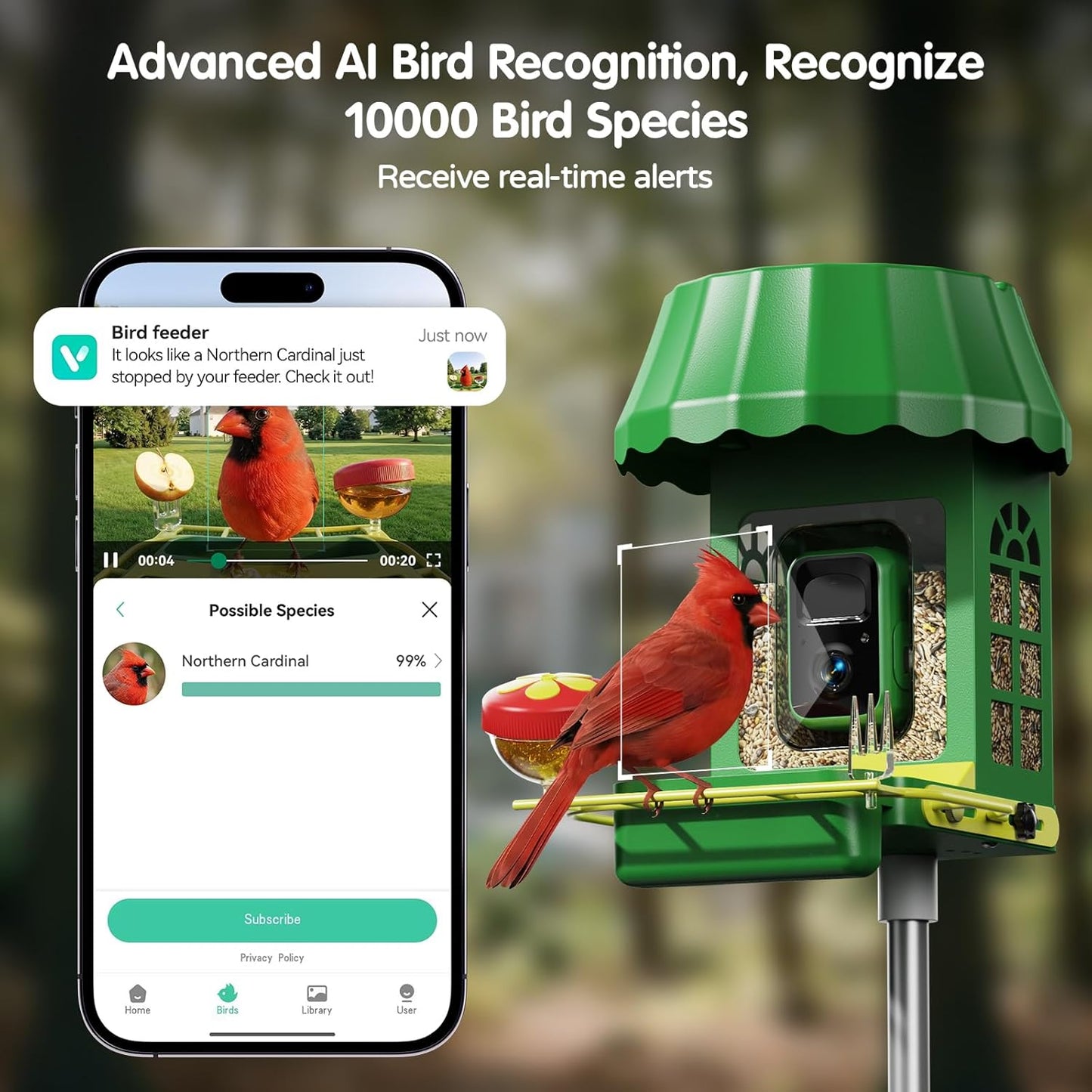 Avinory Smart Bird Feeder with Camera 2.5K HD, Solar Powered AI Bird Identifier 10000+ Species, 32GB Card, Wireless,with Night Vision,Metal Squirrel Proof for Outdoor Birds Watching Gift