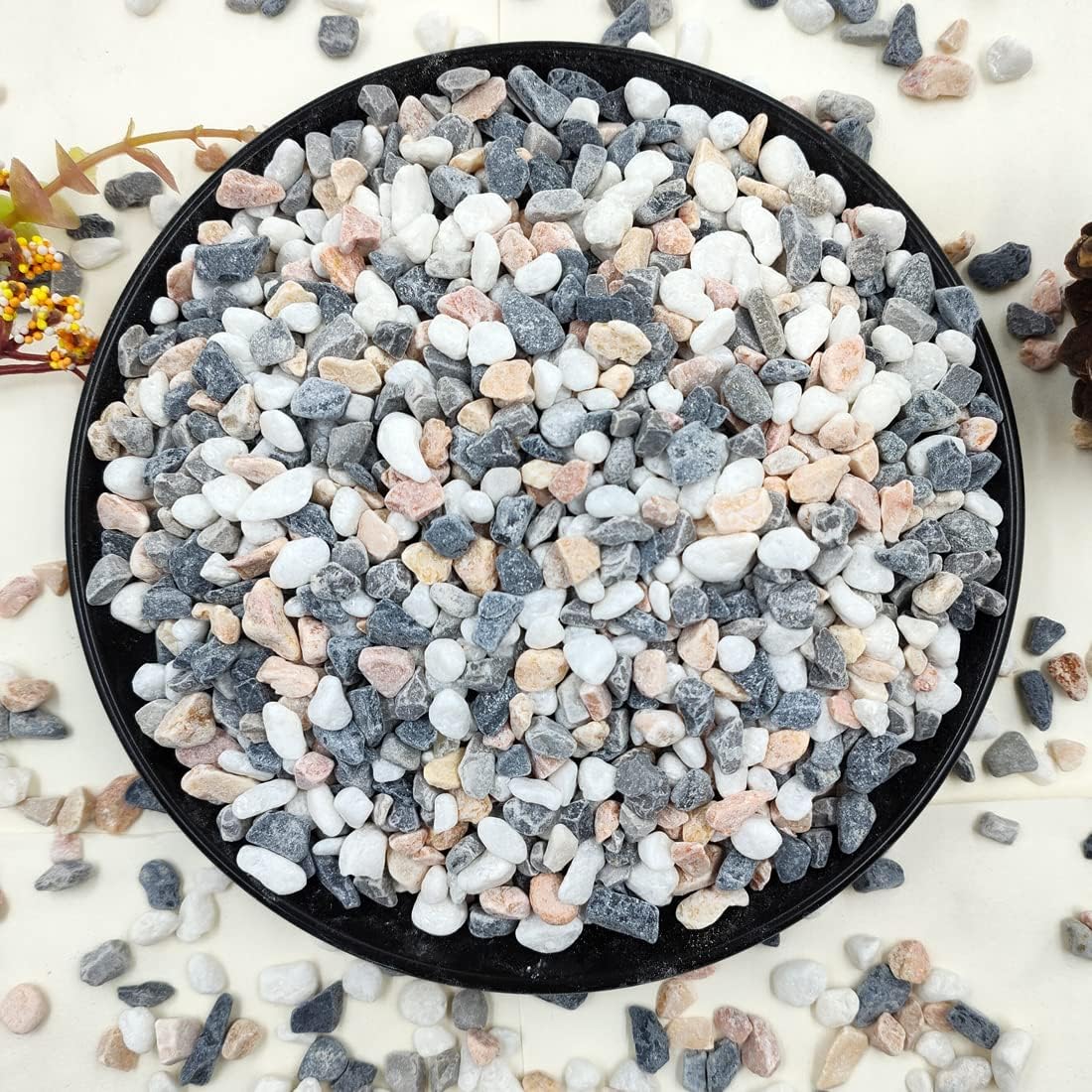 2LB Succulent and Cactus Gravel Pebbles, 1/5 Inch Natural Decorative P