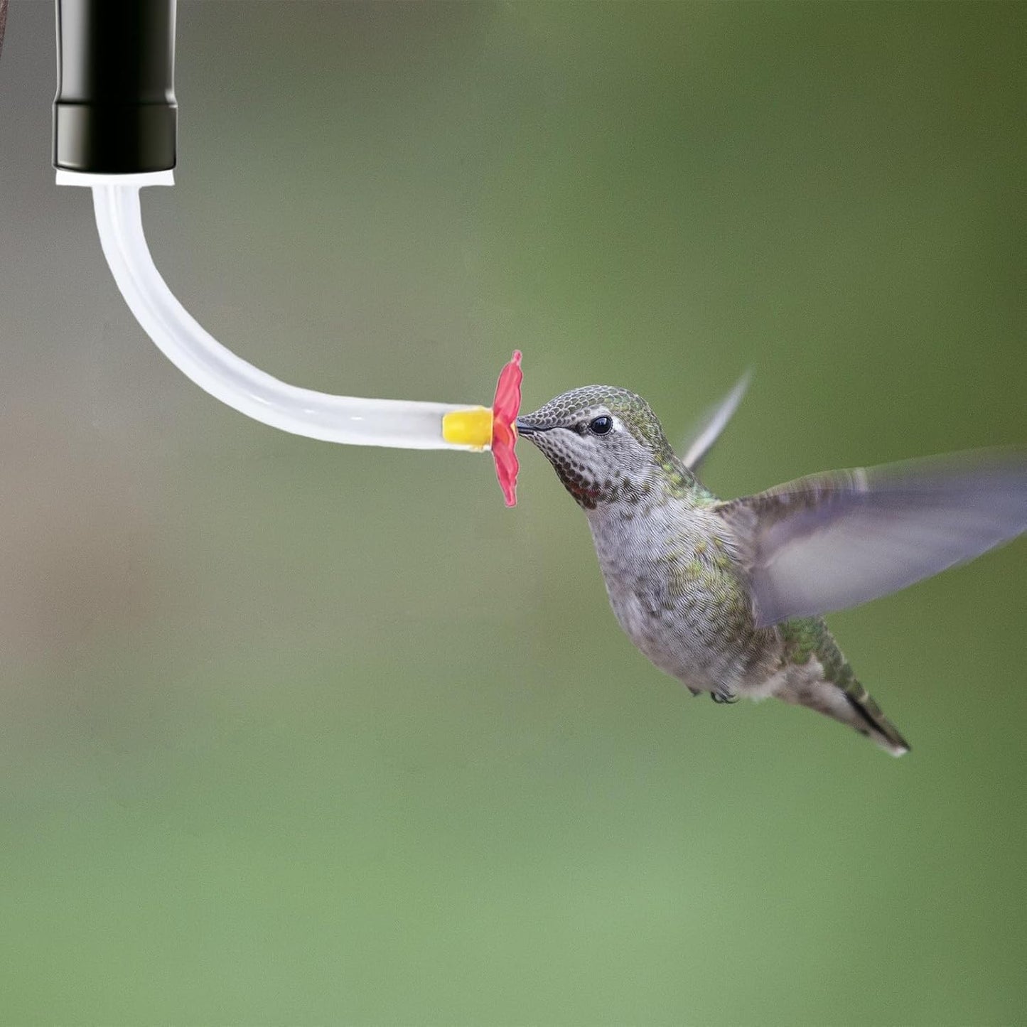 6pc Floral Hummingbird Feeder Tube with Stopper, L-Shape Hummingbird Feeding Ports, Bird Water Feeding Replacement Parts with Bottle Plug, for Outdoor Making Your Own Bird Feeders(Red Flower)