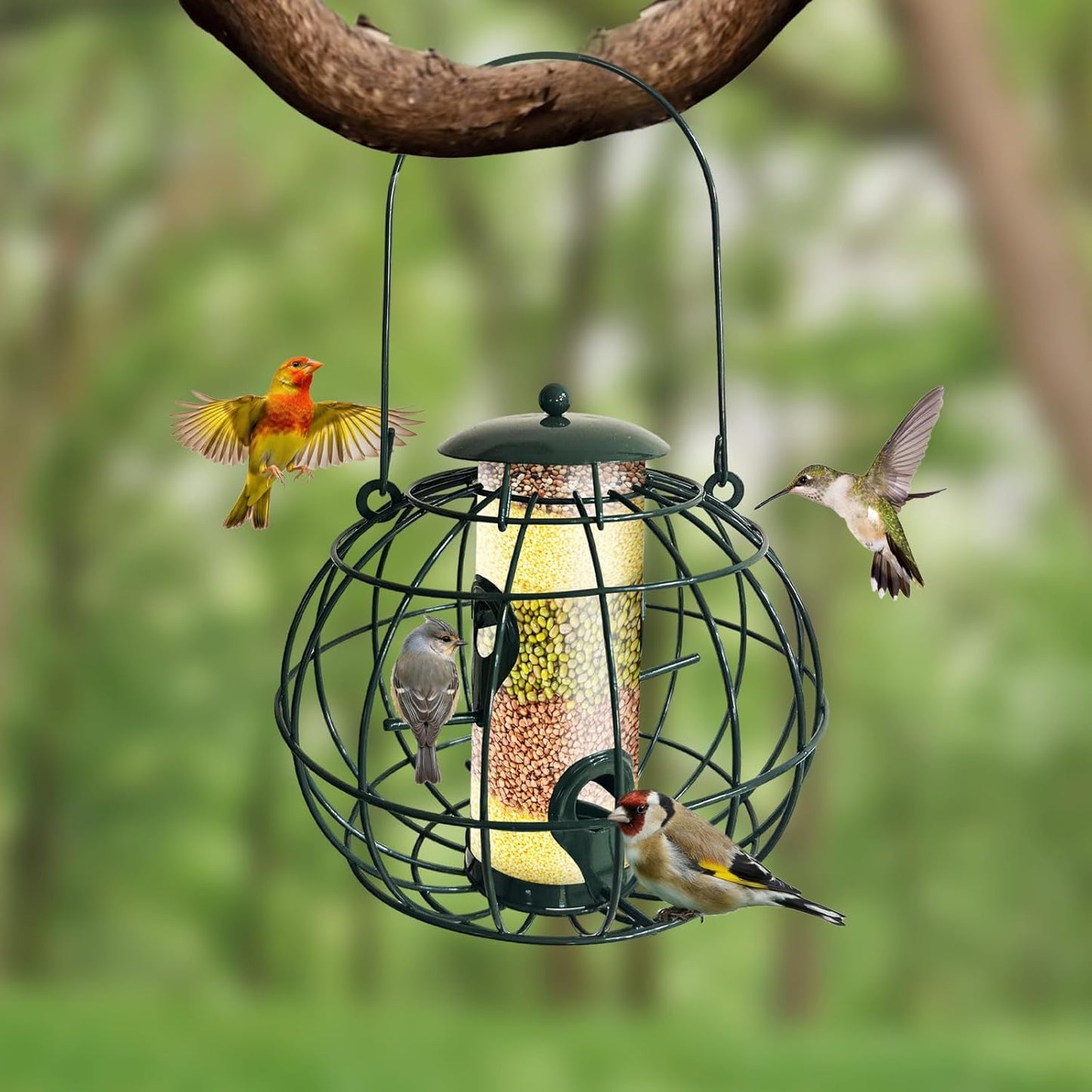 Squirrel Proof Bird Feeder - Outdoor Hanging Wild Bird Feeder, Large Capacity Weatherproof Tube Feeder with Base Tray, Finch Birdfeeder, Green
