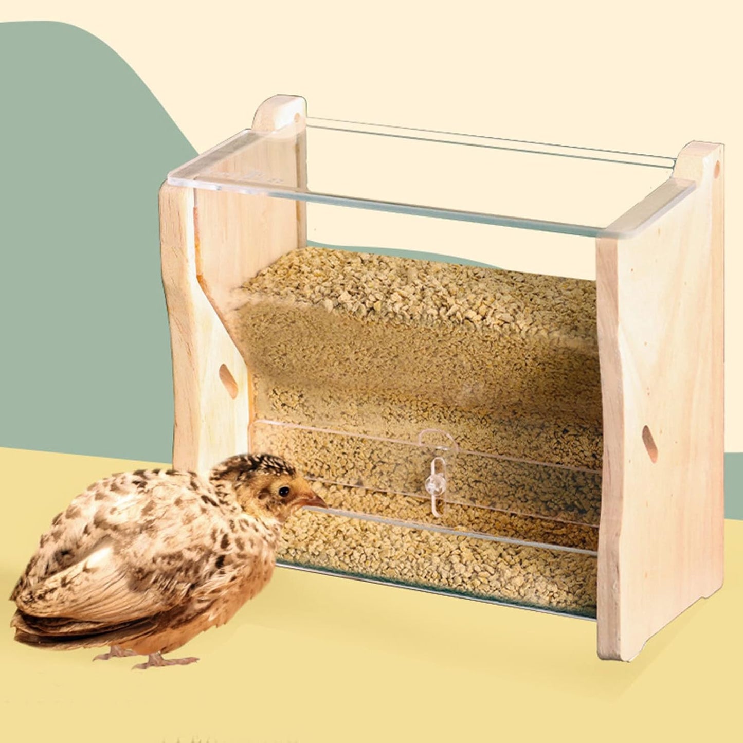 Bird Feeder for Cage No Mess Transparent Food Container Automatic Disp