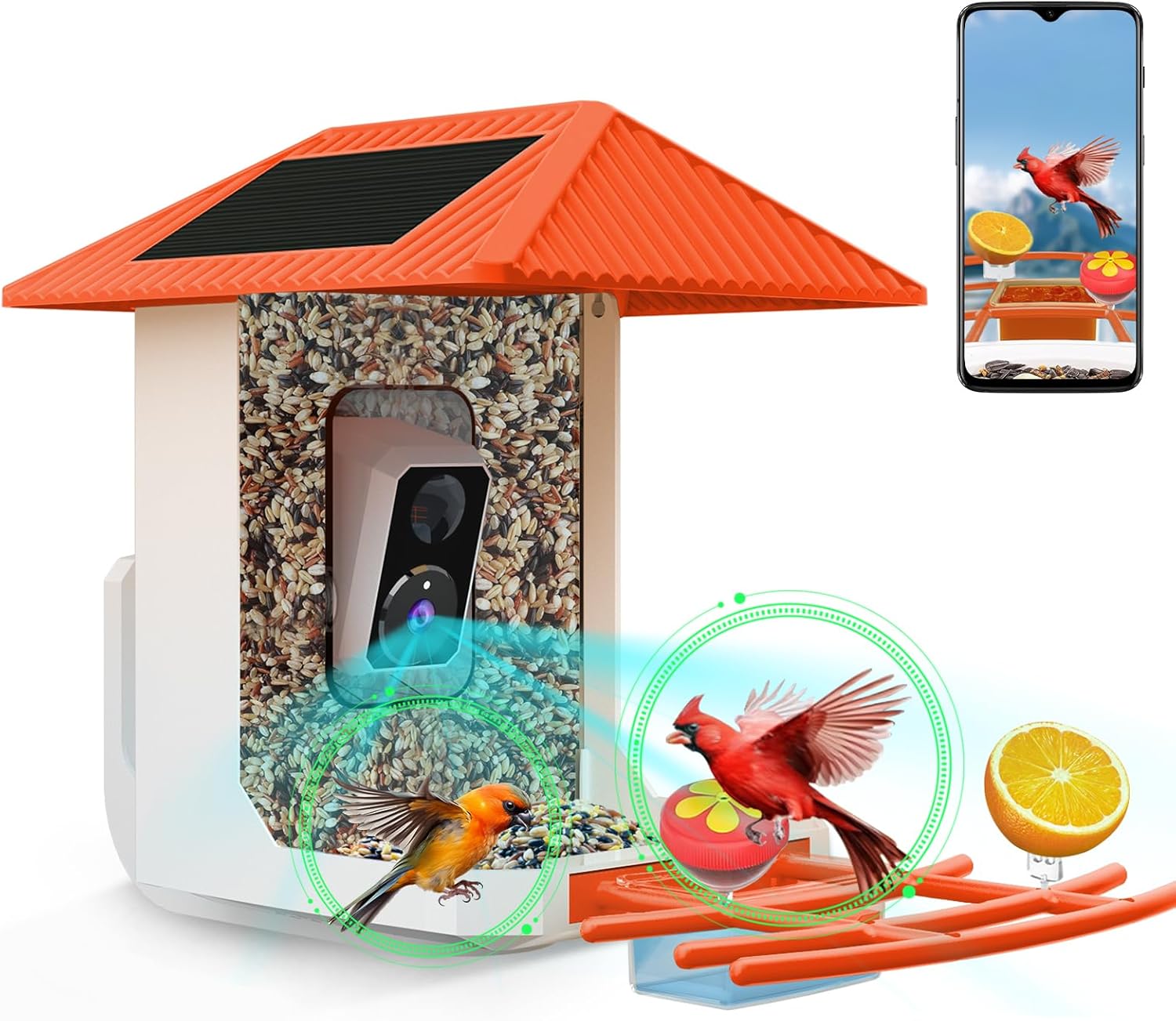 2.5K Smart Bird Feeder with Camera with AI Identify 10000+ Birds Speci