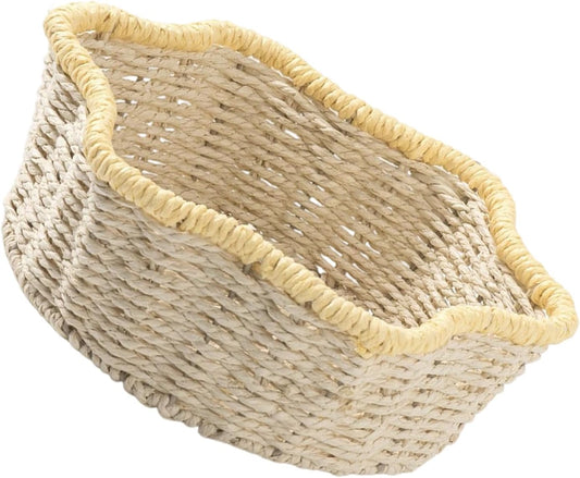 Handwoven Paper Rope Basket with Iron Frame Desktop Plant Holder & Hom
