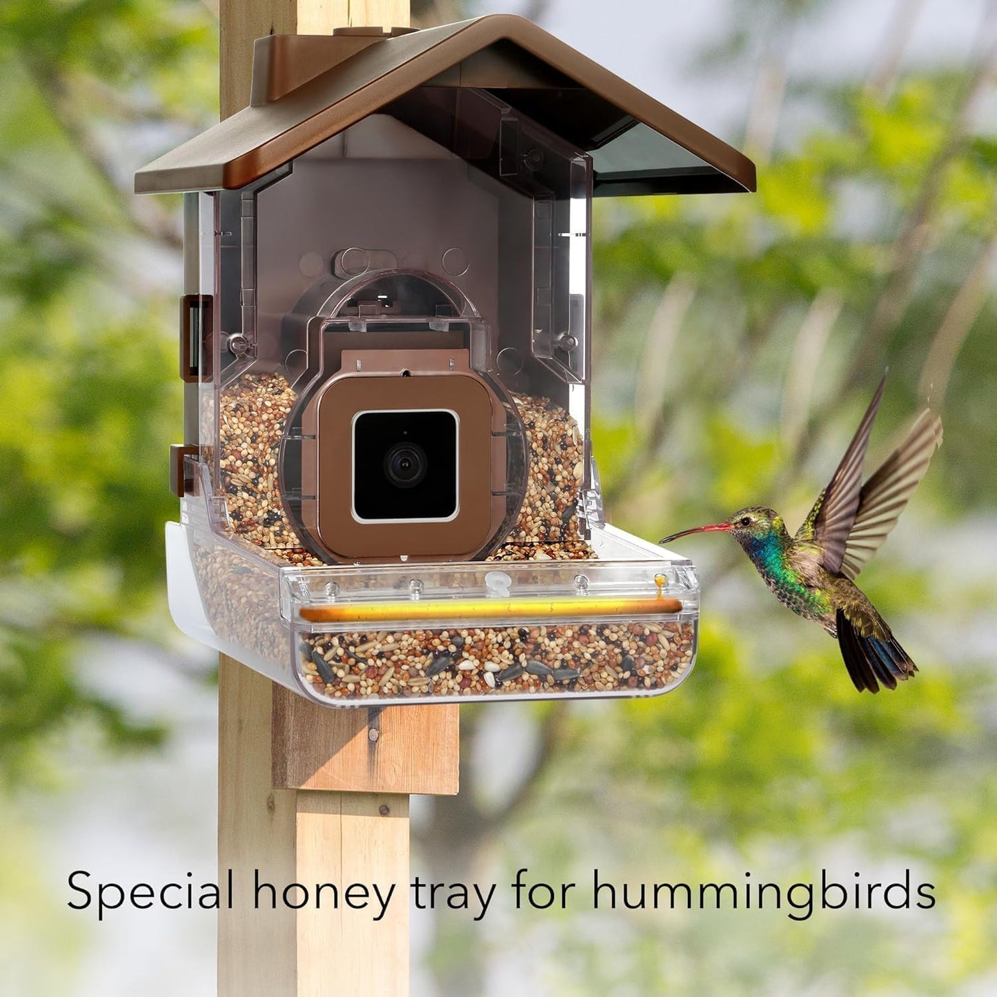 Wasserstein Bird Feeder Camera Case Compatible with Blink, Wyze & Ring Security Cameras Including Blink Outdoor 4, Wyze Cam OG & Ring Stick Up Camera (Camera NOT Included)