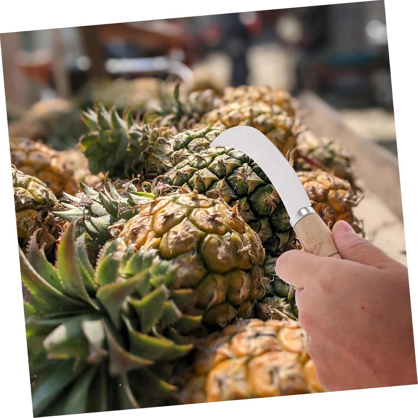 BESTOYARD Stainless Steel Fruit Knife Curved Pineapple Cutter Multifun