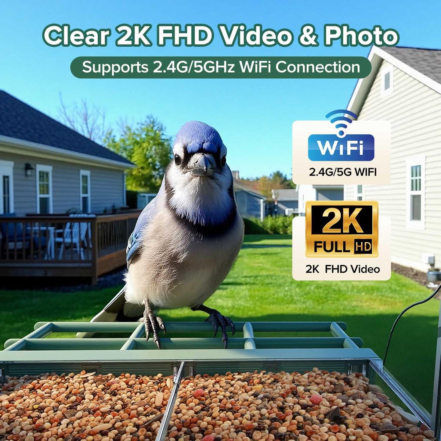 Window Bird Feeder with Camera,2K Live Video,AI Bird Identification,Instant Arrival Alerts,24/7 Recording,Support 2.4G/5G WiFi,SD Card&Cloud Storage,Featuring 5 Strong Suction Cups.