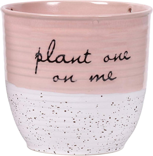 Blue Sky Clayworks Patricia Hanging Flower Pot, 6" x 5", Blush Script Charm for A Sunny Corner