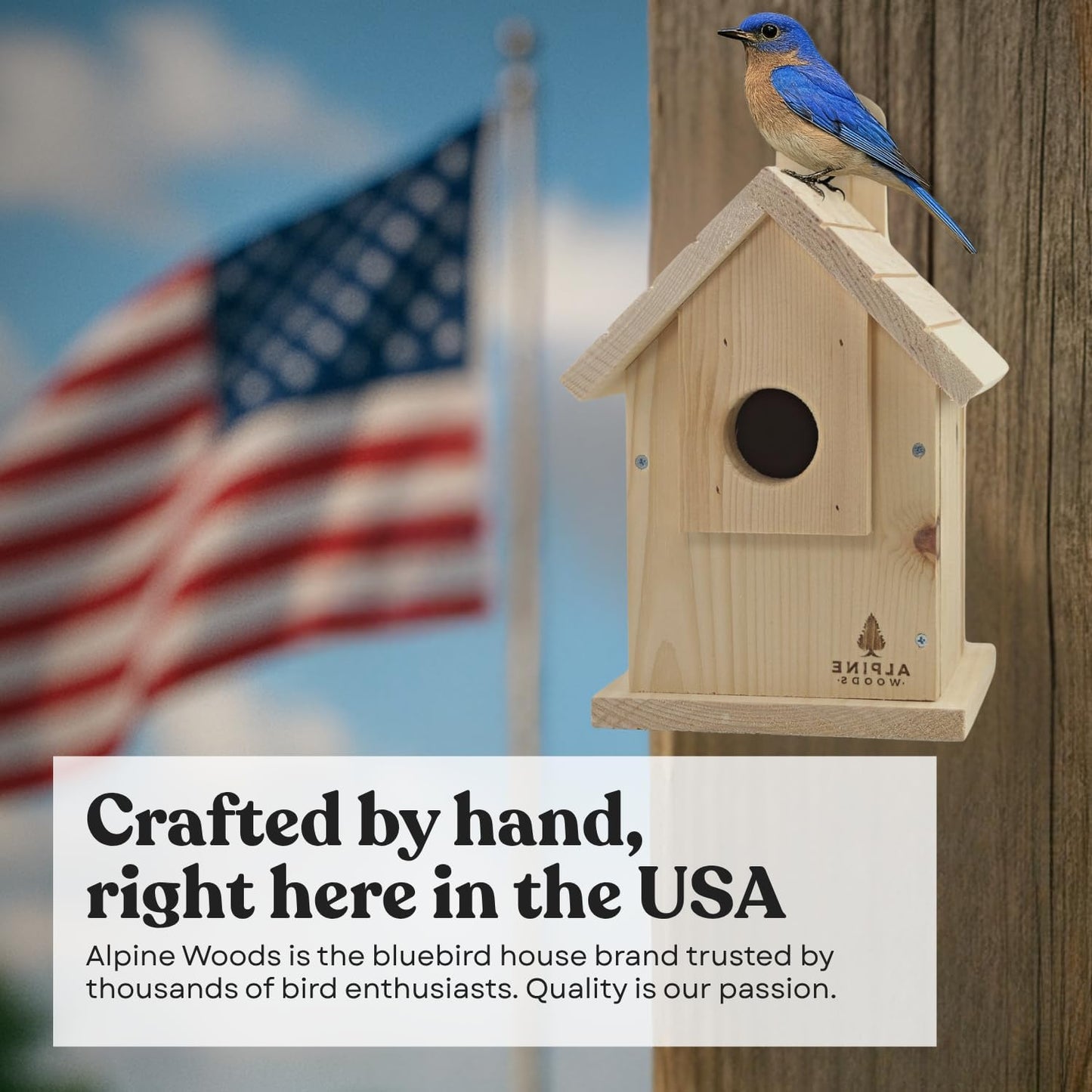 Wooden Bird Houses for Outside, Blue Bird Hanging Bird House for Garden Patio Decorative, Handmade Bluebird House Nesting Box Comes Fully Assembled, Size 6" x 6" x 9" - Made in USA