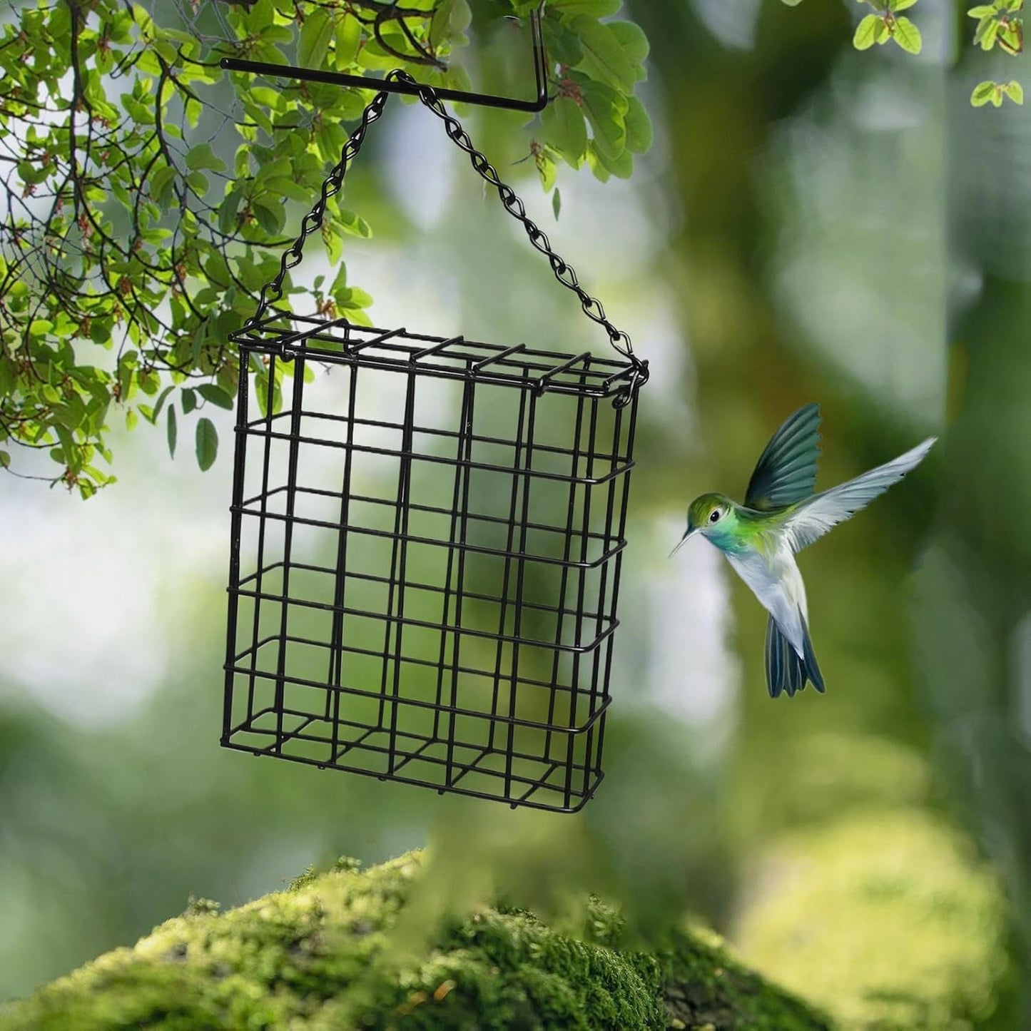 Suet Cage Bird Feeder, Metal Wire Suet Cage Feeder with Iron Wire Material and 13x13x4.5cm Size for Outdoor Garden Feeding Finch, Cardinal, Chickadee, Blue Bird