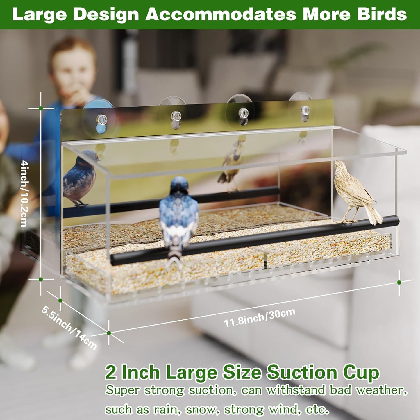 One Way Window Bird Feeder for Outside with 4 Strong Suction Cups, Cle