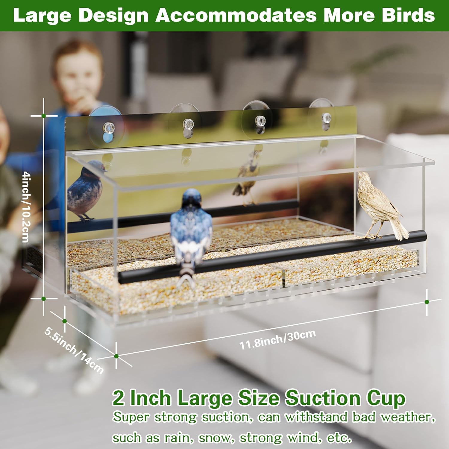 One Way Window Bird Feeder for Outside with 4 Strong Suction Cups, Cle