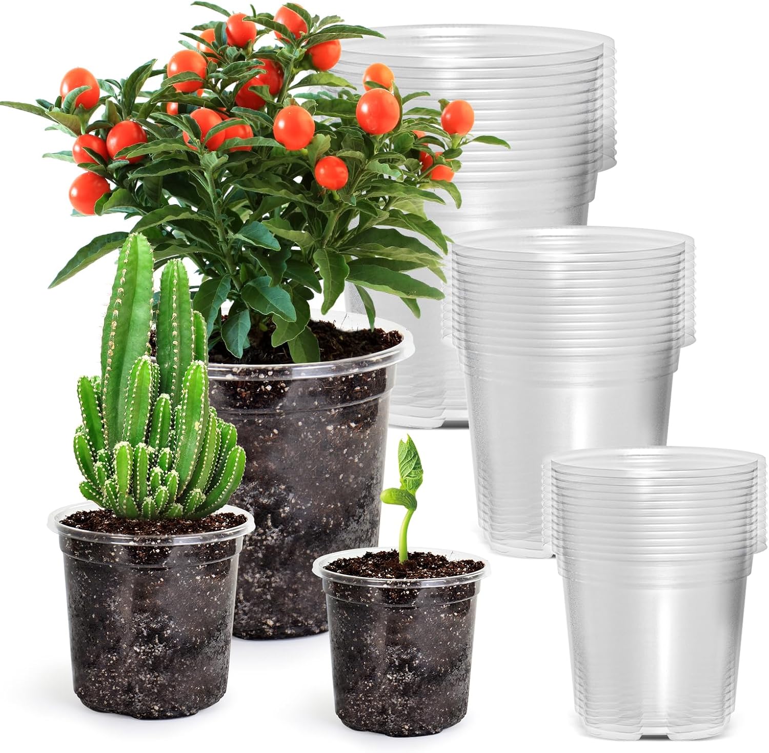 36 Packs 5/4/3.5 Inch Reinforced Clear Nursery Pots with Drainage Hole