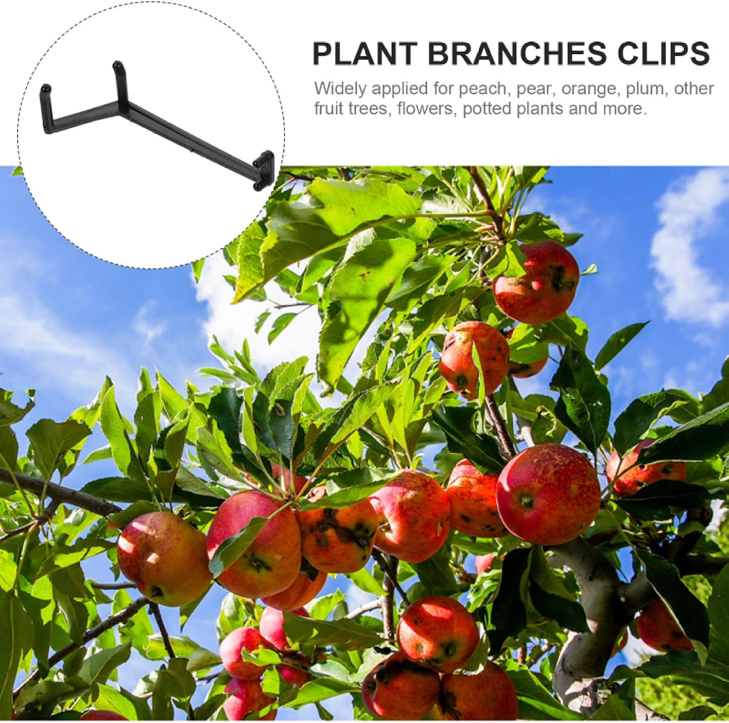 20Pcs Branch Spreaders for Fruit Trees, Pressure-Resistant Tree Puller