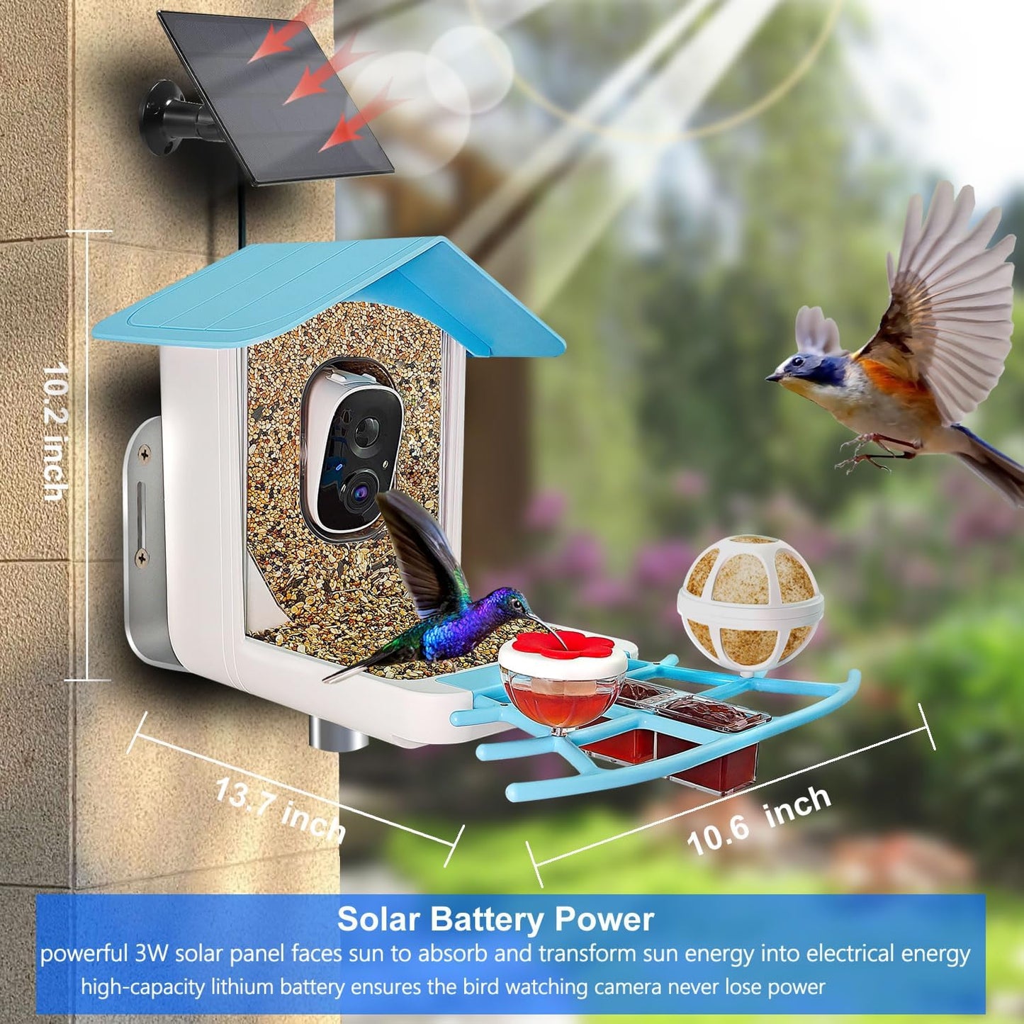 64GB Smart Bird Feeder with Camera Solar Powered, 2K 3MP HD Live Video &Playback on Phone, AI Identify +10,000 Bird Species, 2.4G WiFi Bird Feeder Camera Wireless Outdoor House-Bird Watching (Blue)