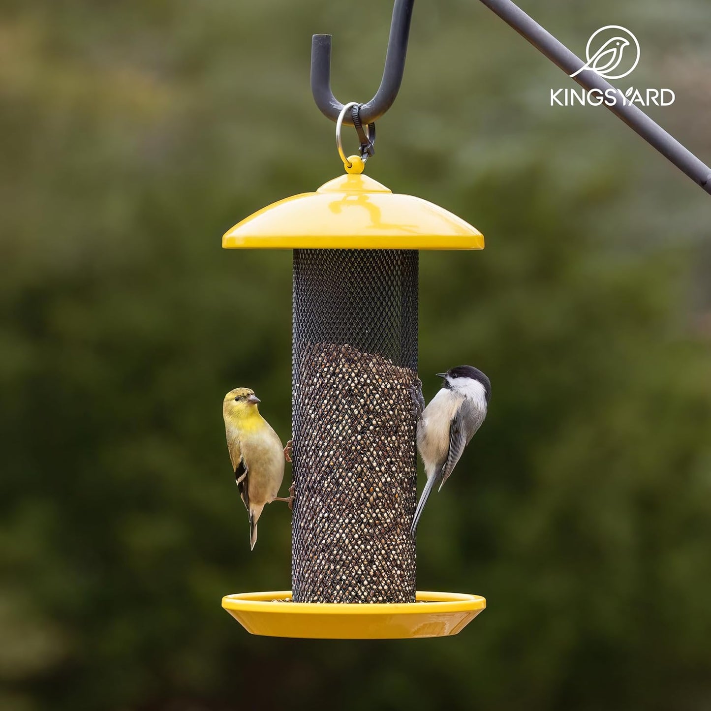 Kingsyard Finch Feeders for Outdoors Hanging, Metal Mesh Tube Bird Fee