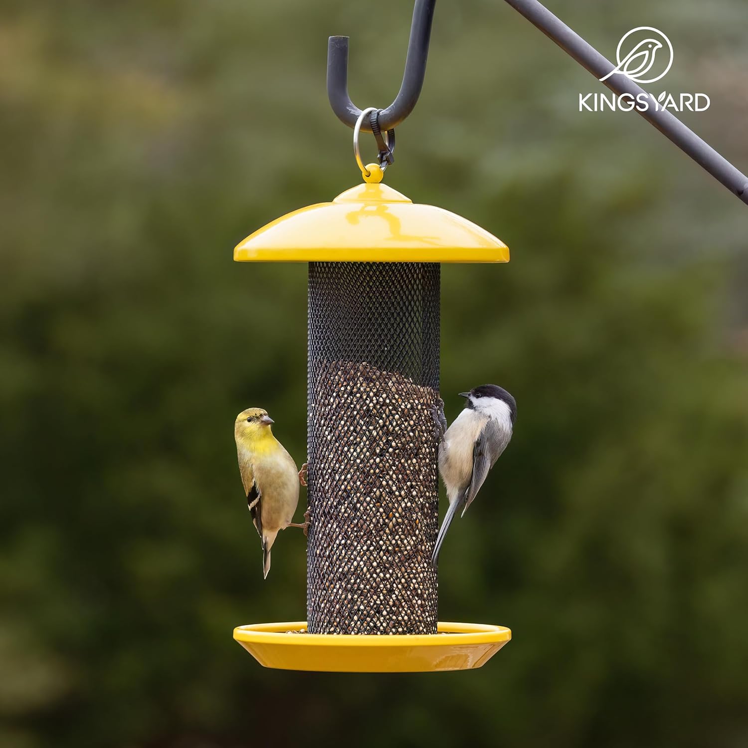 Kingsyard Finch Feeders for Outdoors Hanging, Metal Mesh Tube Bird Fee