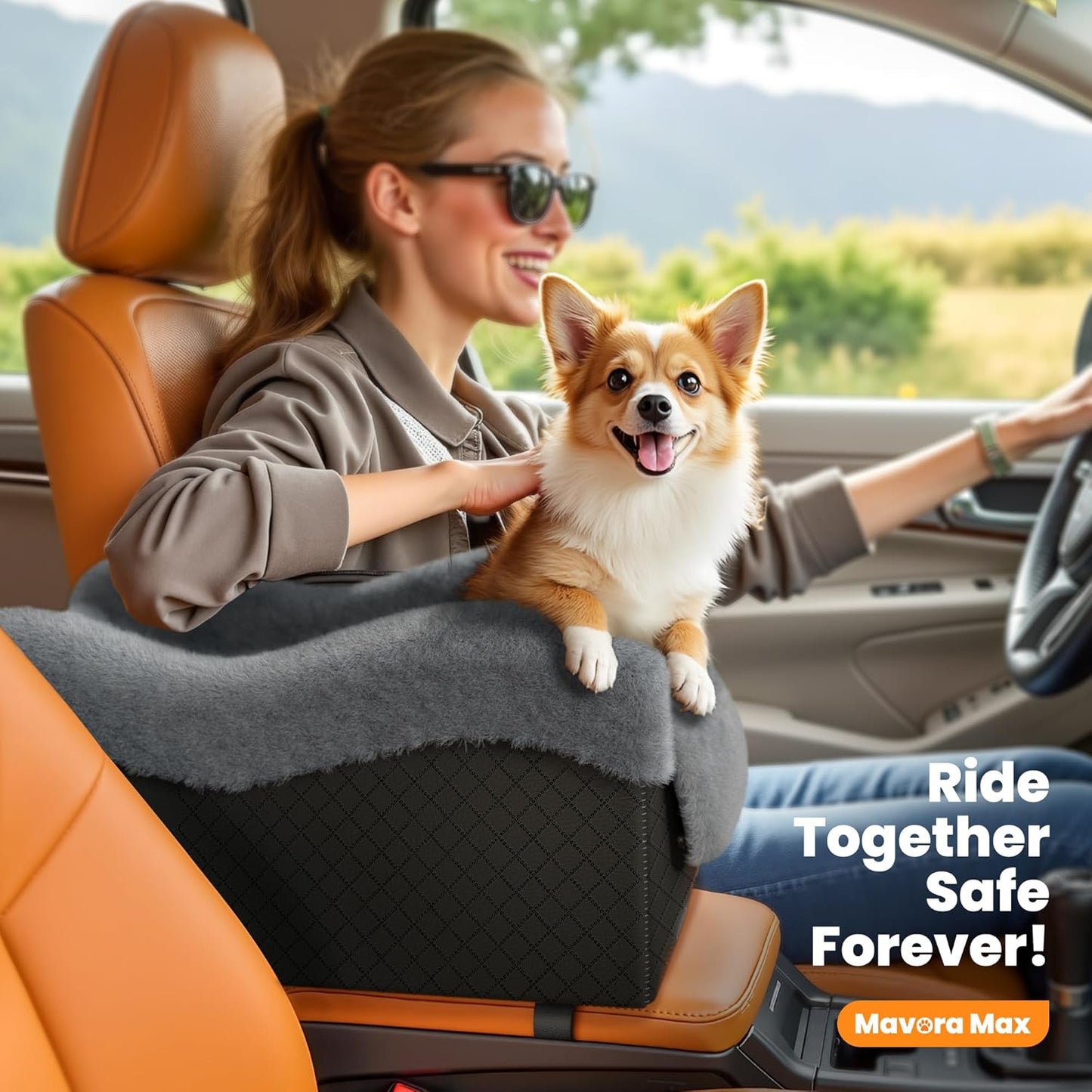 Portable Small Dog Seat for Car, Luxury Center Console Dog Car Seat Bo