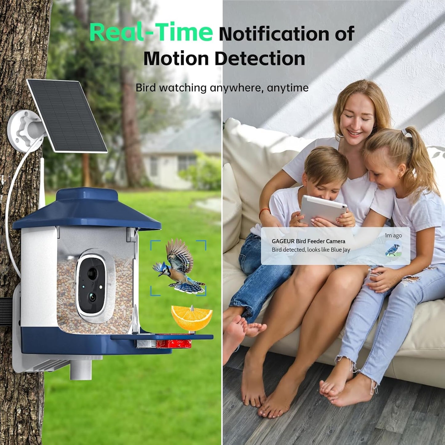 Bird Feeder with Camera, AI Bird Identification, Full HD Live Video, S