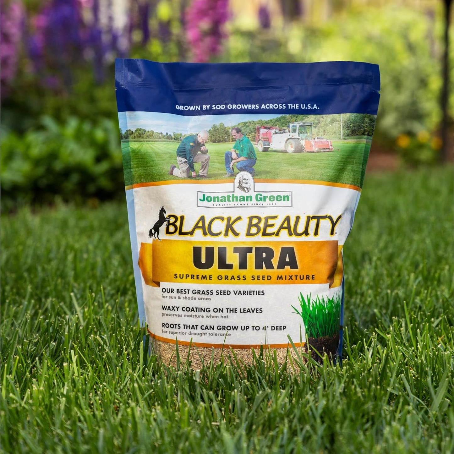 Jonathan Green (10322) Black Beauty Ultra Grass Seed - Cool Season Law