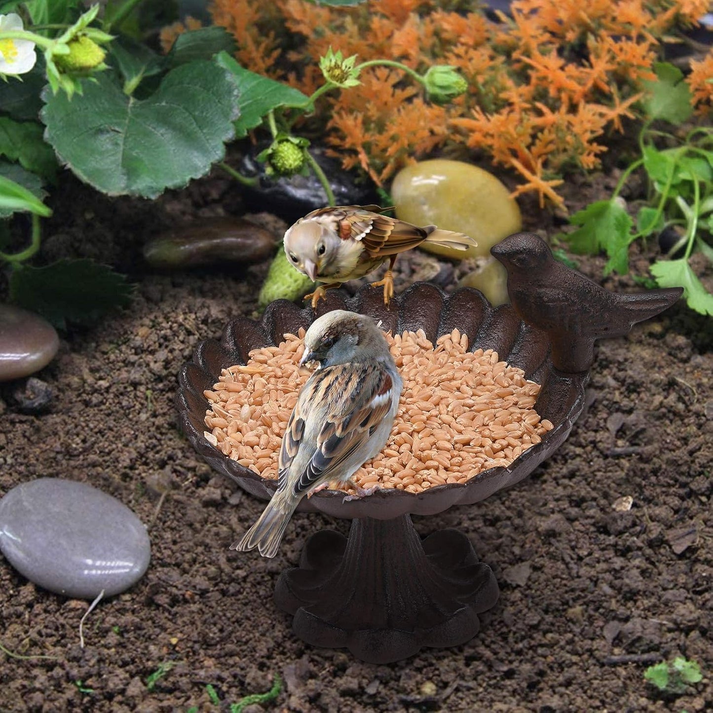BRASSTAR Cast Iron Wild Bird Feeders 6.7”Birdbath for Outdoors Patio Yard Garden Villa Decor TQZDPT48