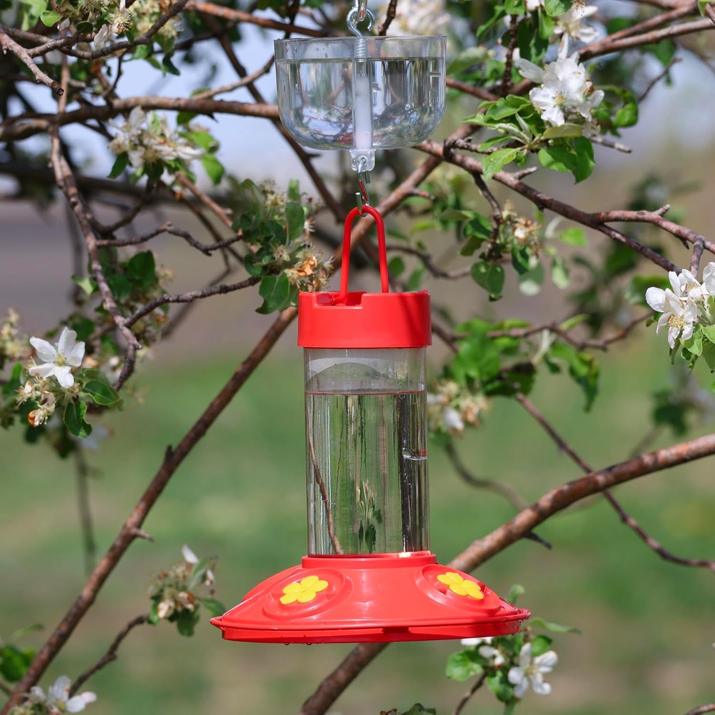 Songbird Essentials Nectar Protector Junior, Bird Feeder Protection, Clear