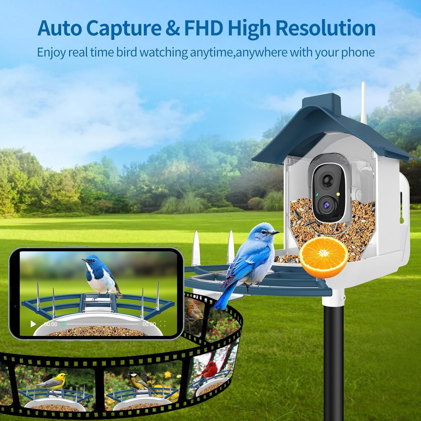 Bird Feeder with Camera,Smart Bird Feeder Camera with AI Identify Instant Notifications,FHD Live View,Birds Watching Camera with Solar Panel in Backyard,Ideal Gift for Family and Birds Lover,Navy Blue