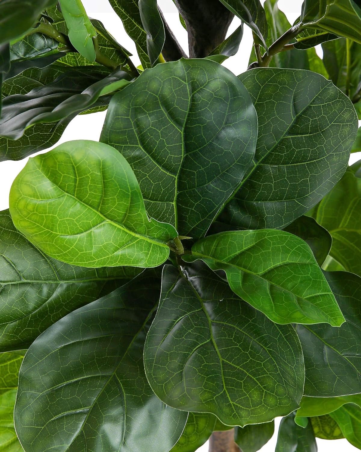 Fiddle Leaf Fig Tree 6ft Tall Artificial Tree in Plastic Pot Fake Ficus Lyrata Plants with 184 Decorative Fiddle Leaves Faux Fig Trees for Home Office Living Room Decor Indoor Outdoor