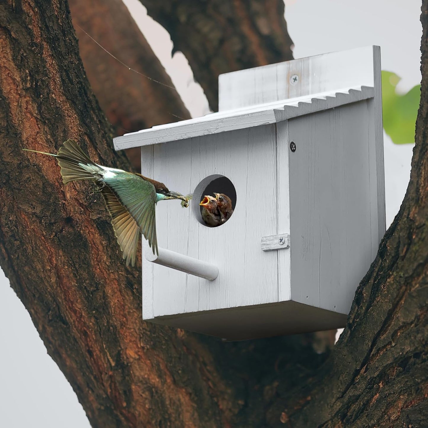 Bird House for Outside,Bluebird House,Outdoor Wooden Hanging Birdhouses Finch Wren Cardinals Garden Nesting Box