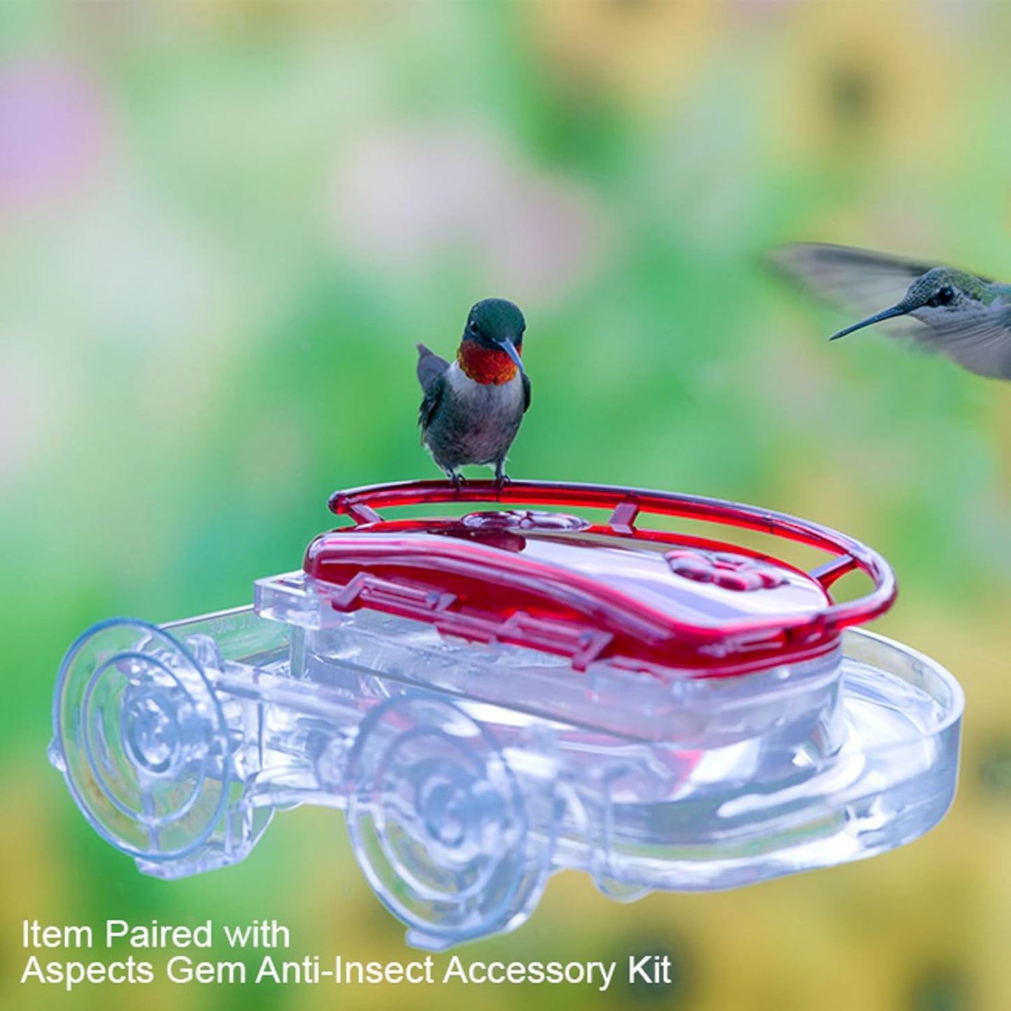 Aspects ASPECTS437 The Gem Window Hummingbird Feeder