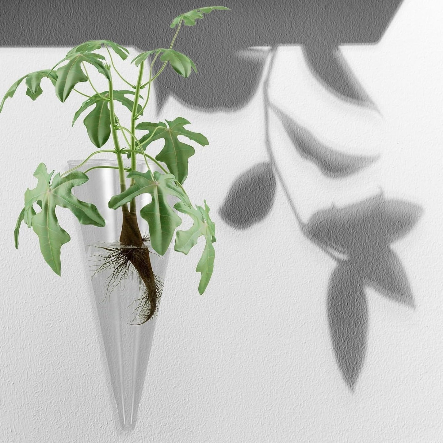 3Pcs Wall Hanging Hydroponic Glass Vase Cone Shape Plant Holder for Home Decoration Space-Saving Planter for Indoor Flowers Modern European Style Wall Adornment