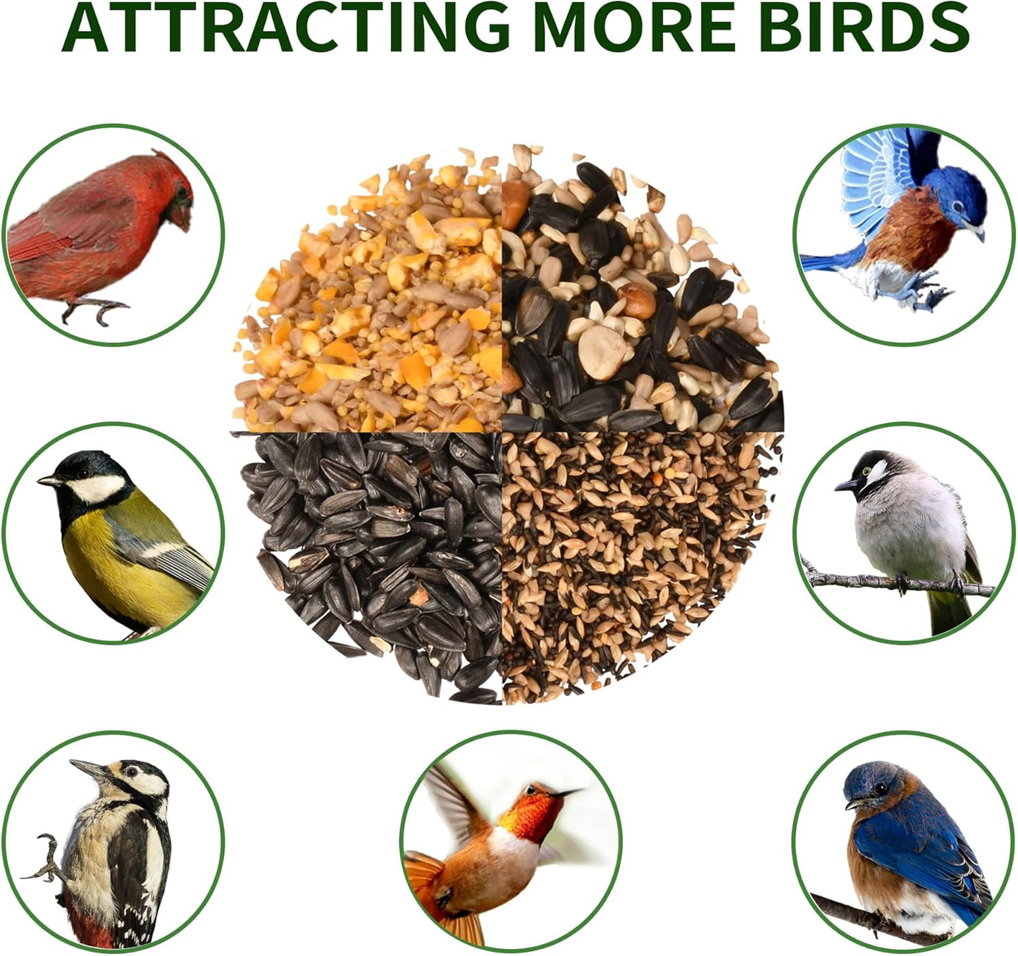 Solution4Patio Bird Feeders for Outdoors Hanging, All Metal, Double Suet Cake and Large Capacity, Hopper Tray & Weatherproof for Finch, Cardinal & Chickadee (Green)
