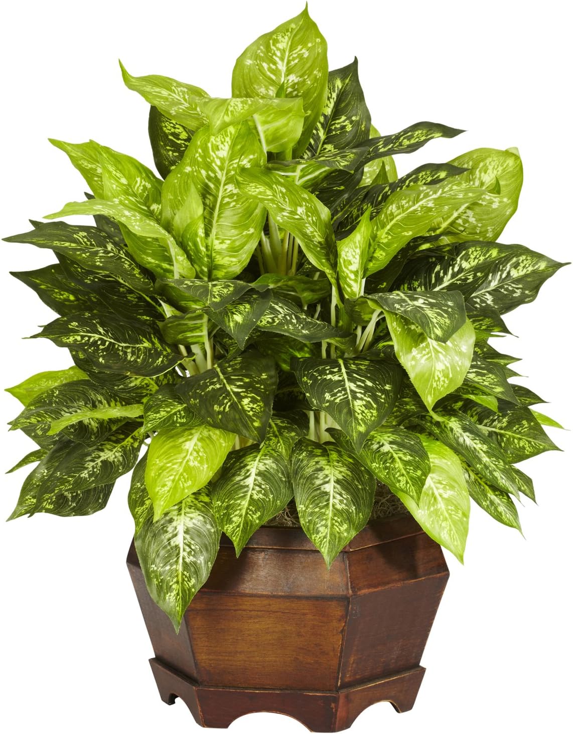 Nearly Natural Variegated Dieffenbachia with Large Hexagon Silk Plant
