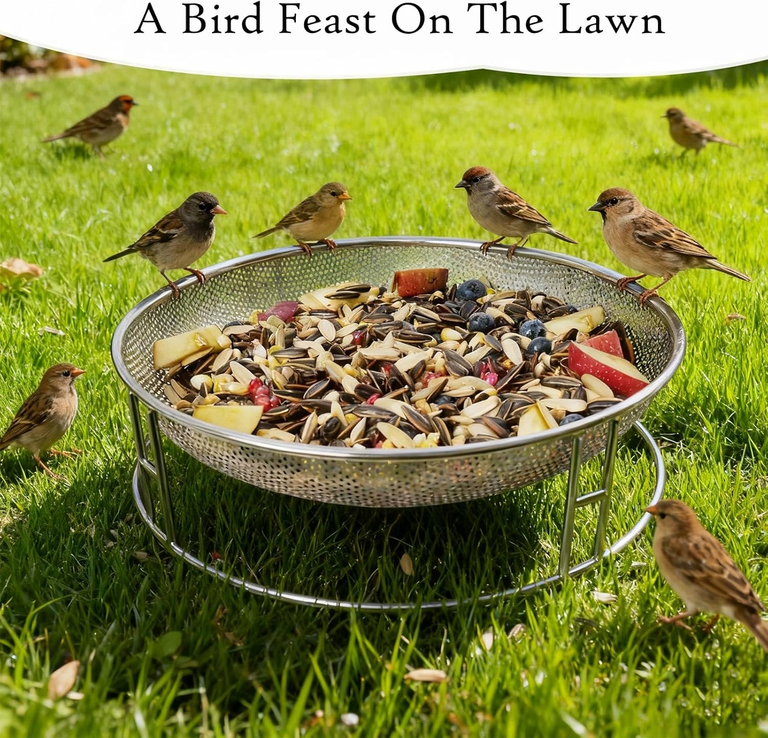 13-Inch Ground Bird Feeder, Stainless Steel Ground Feeding Platform fo